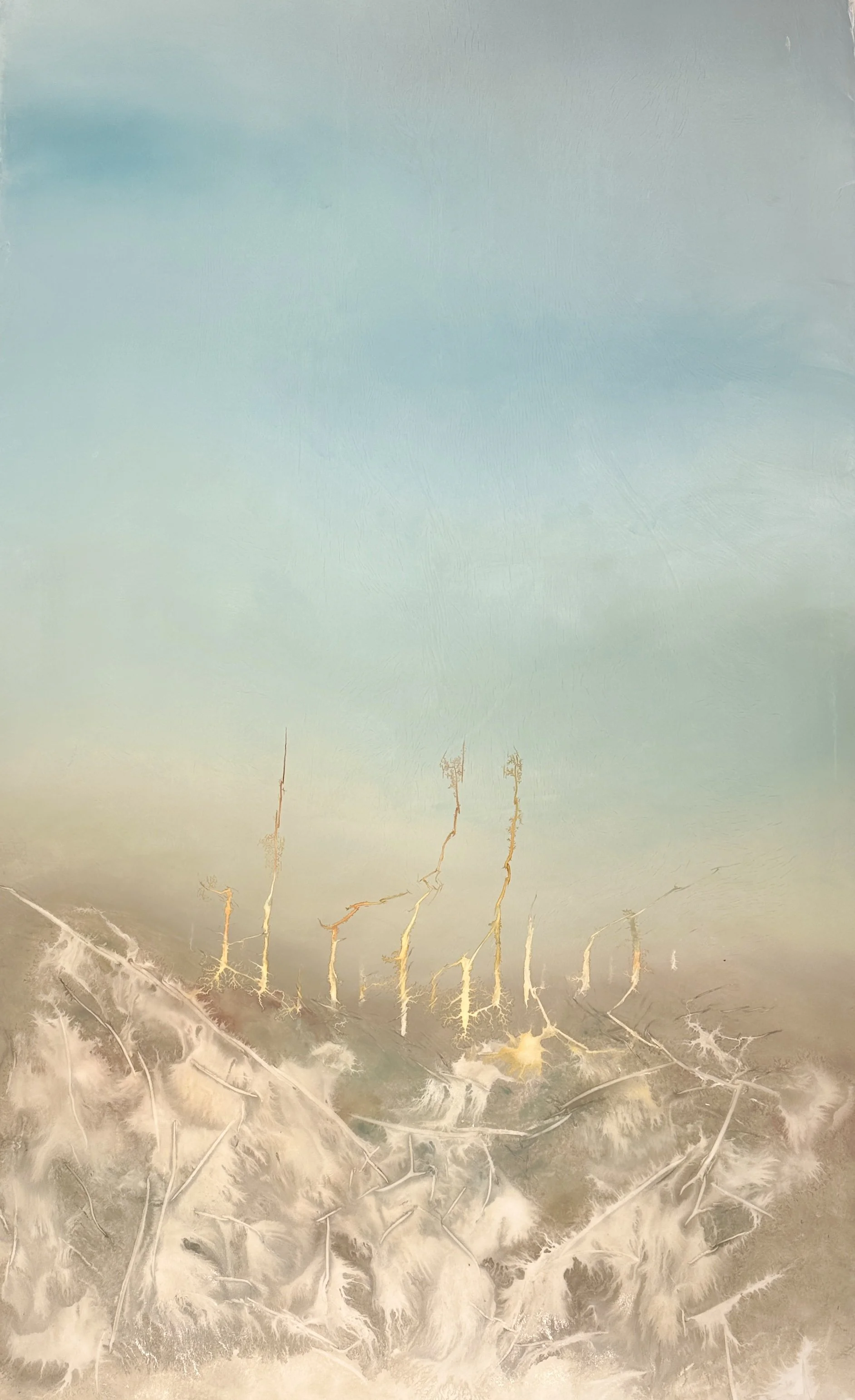 Ghost Forest 9.20.26