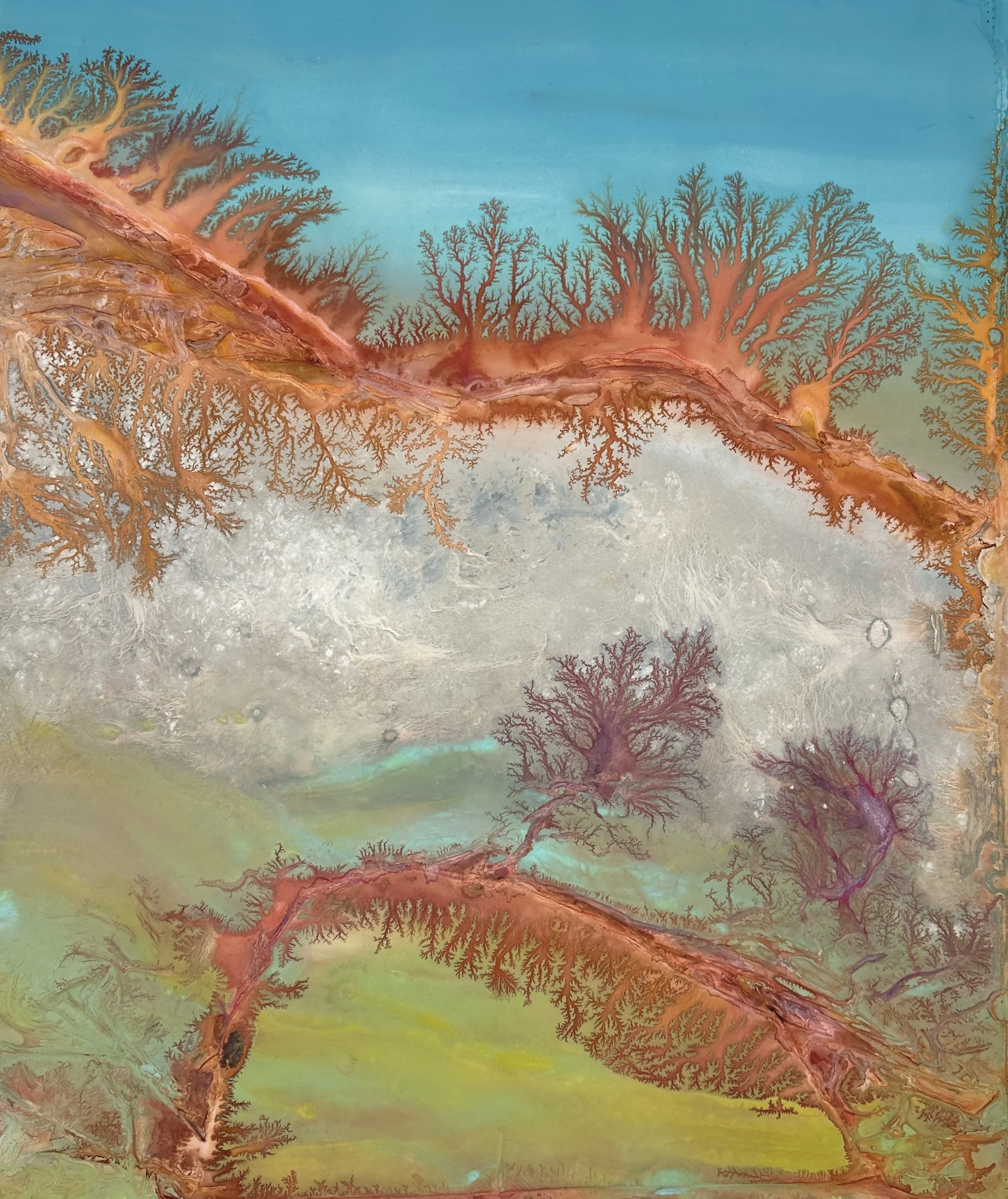 Ghost Forest 10.14.26