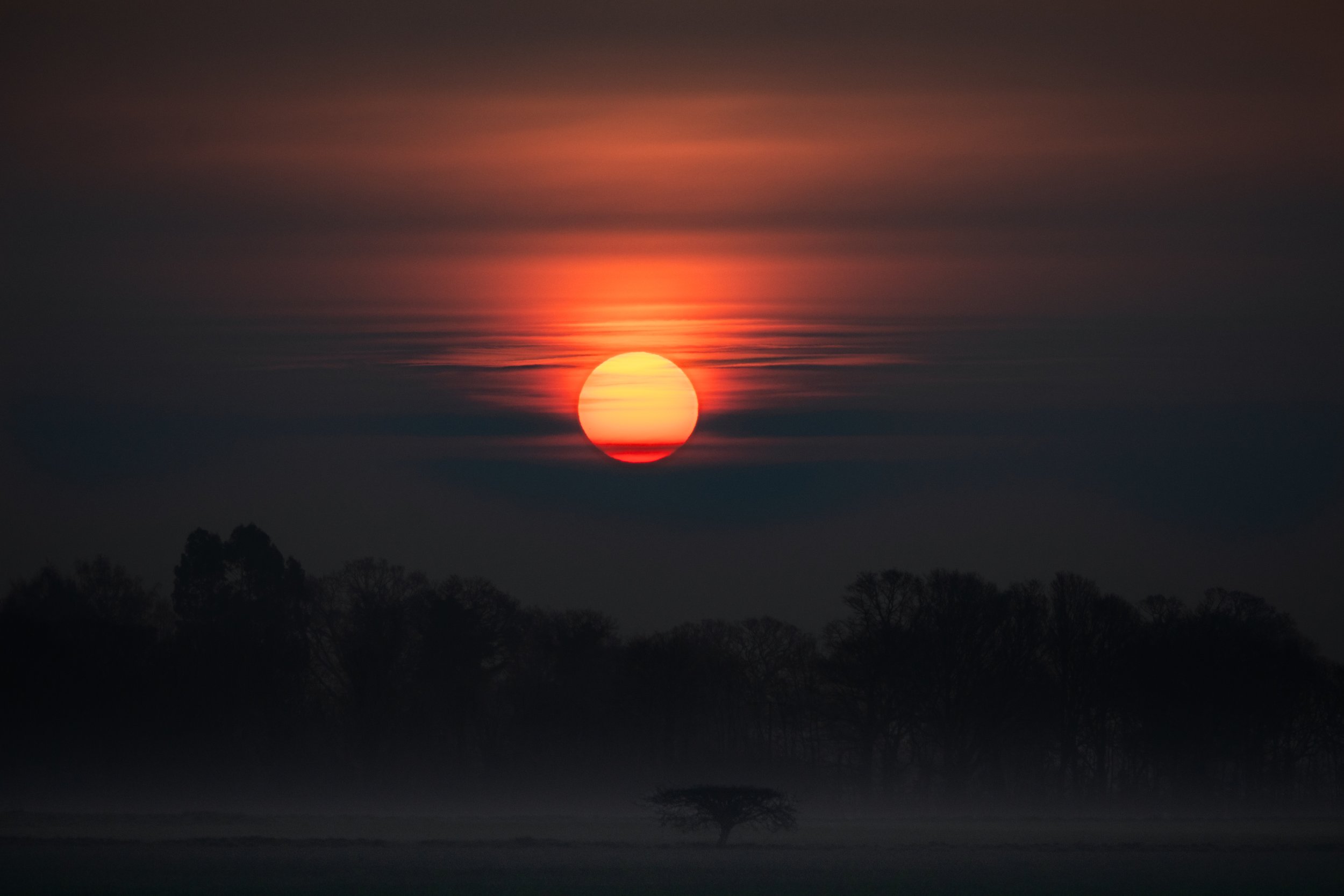 A sunset over a landscape with trees in the foreground, with the sun partially obscured by clouds.