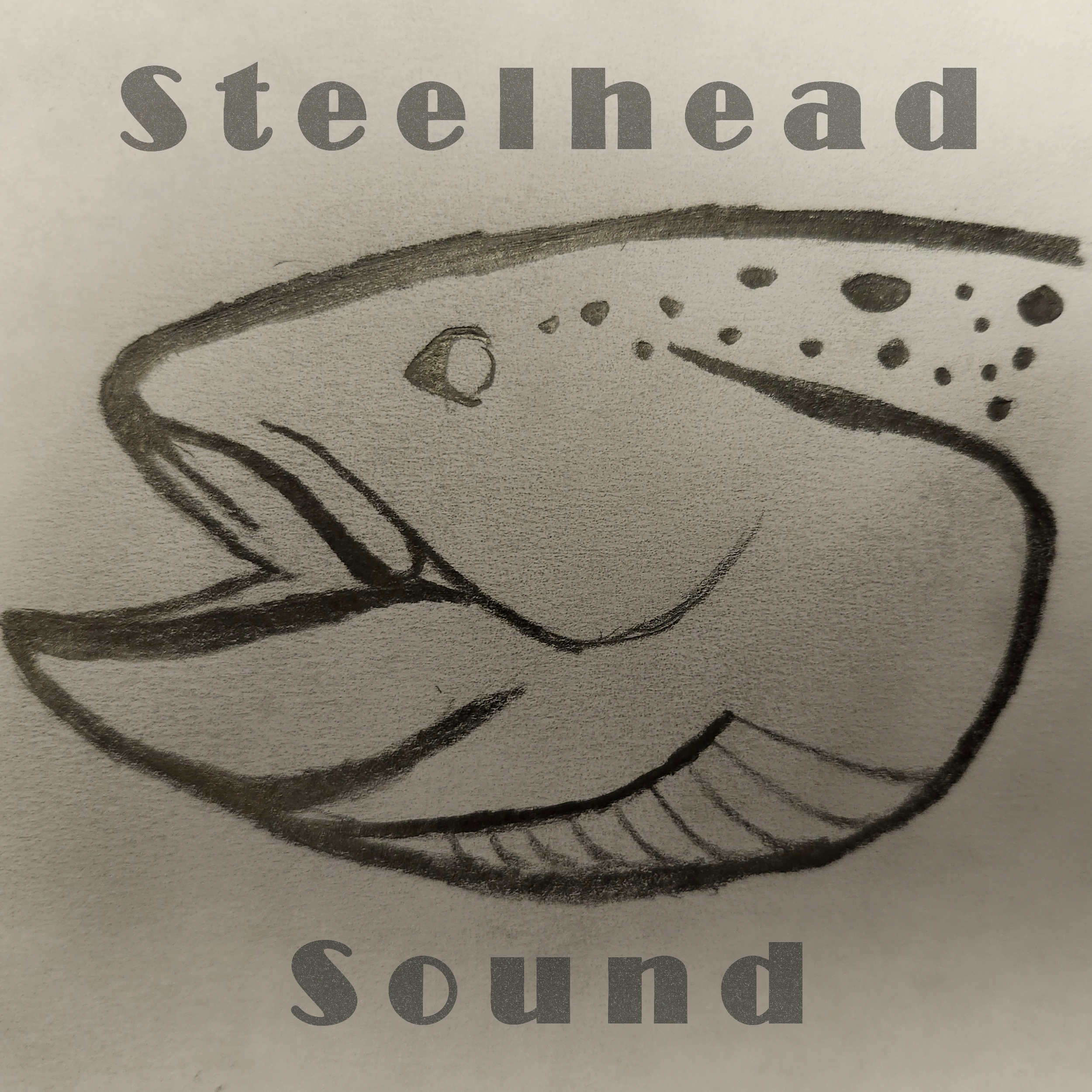 Close-up of printed text that reads 'Steelhead' at the top and 'Surf' at the bottom, with partial line art of a fish and water design in the background.