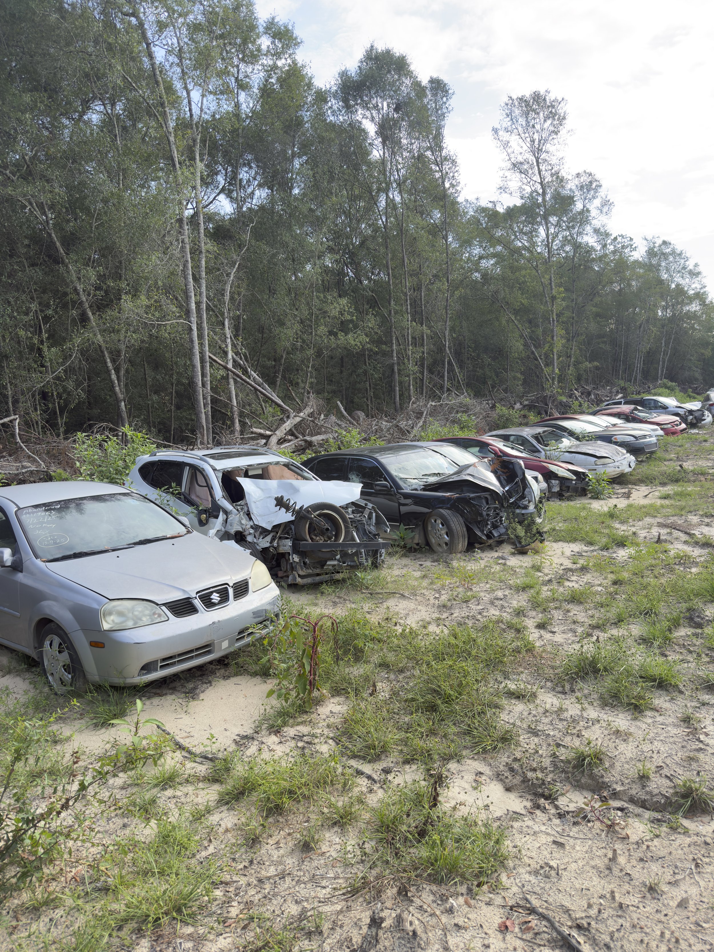 A row of damaged cars parked near a wooded area with fallen trees and branches, and some overgrown grass and plants in the foreground.