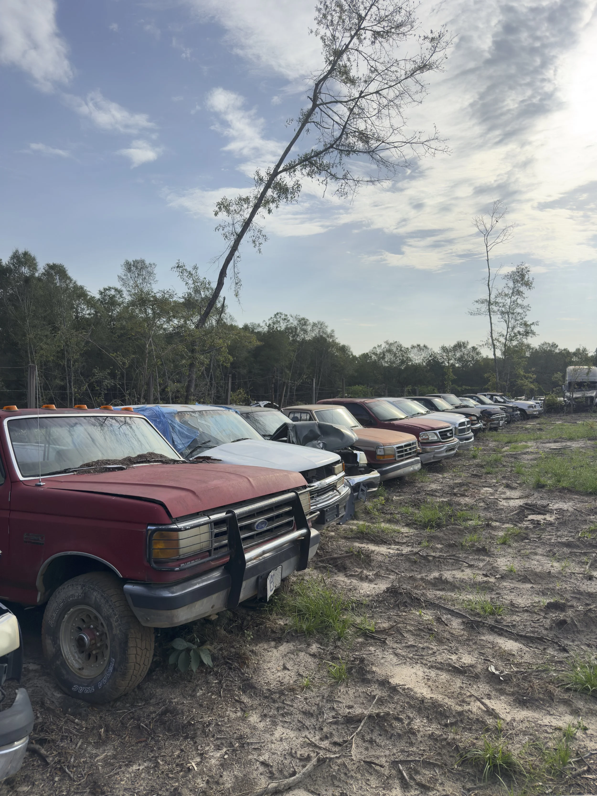A row of old and damaged pickup trucks parked on a dirt lot with green trees and cloudy sky in the background.