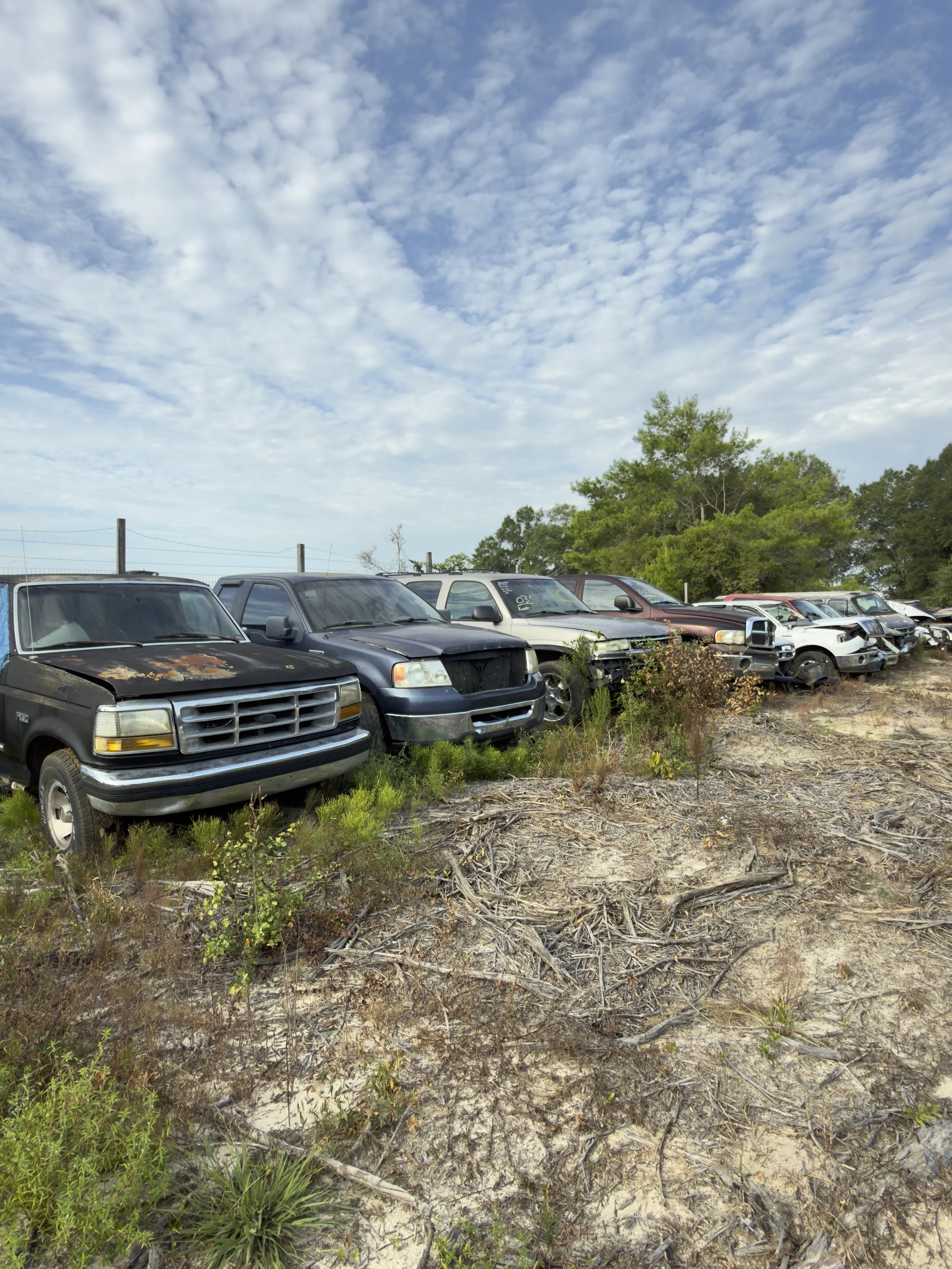 A parking lot with several old, damaged, and rusted vehicles sitting on dry, patchy grass with sparse shrubs. In the background, there are green trees and a partly cloudy blue sky.