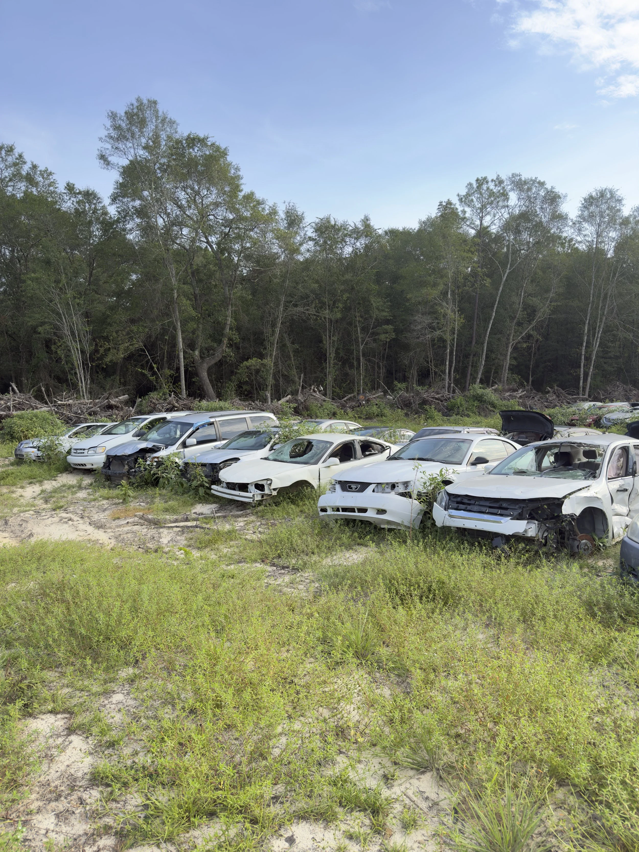 Row of damaged and abandoned white cars in a dirt lot with overgrown grass, behind a dense forest under a cloudy sky.