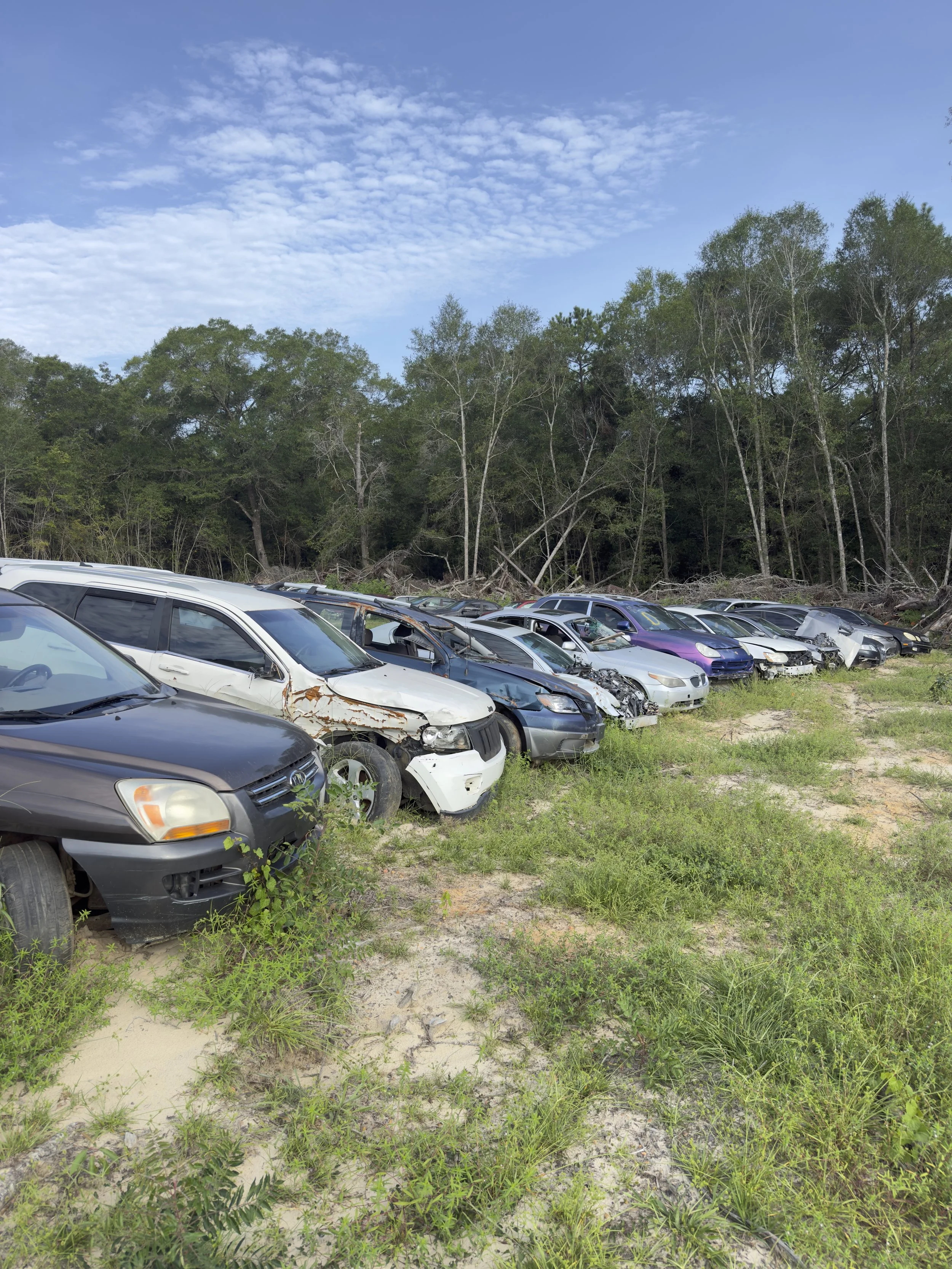 Row of damaged and wrecked cars parked on grass and dirt, with a dense forest and cloudy blue sky in the background.