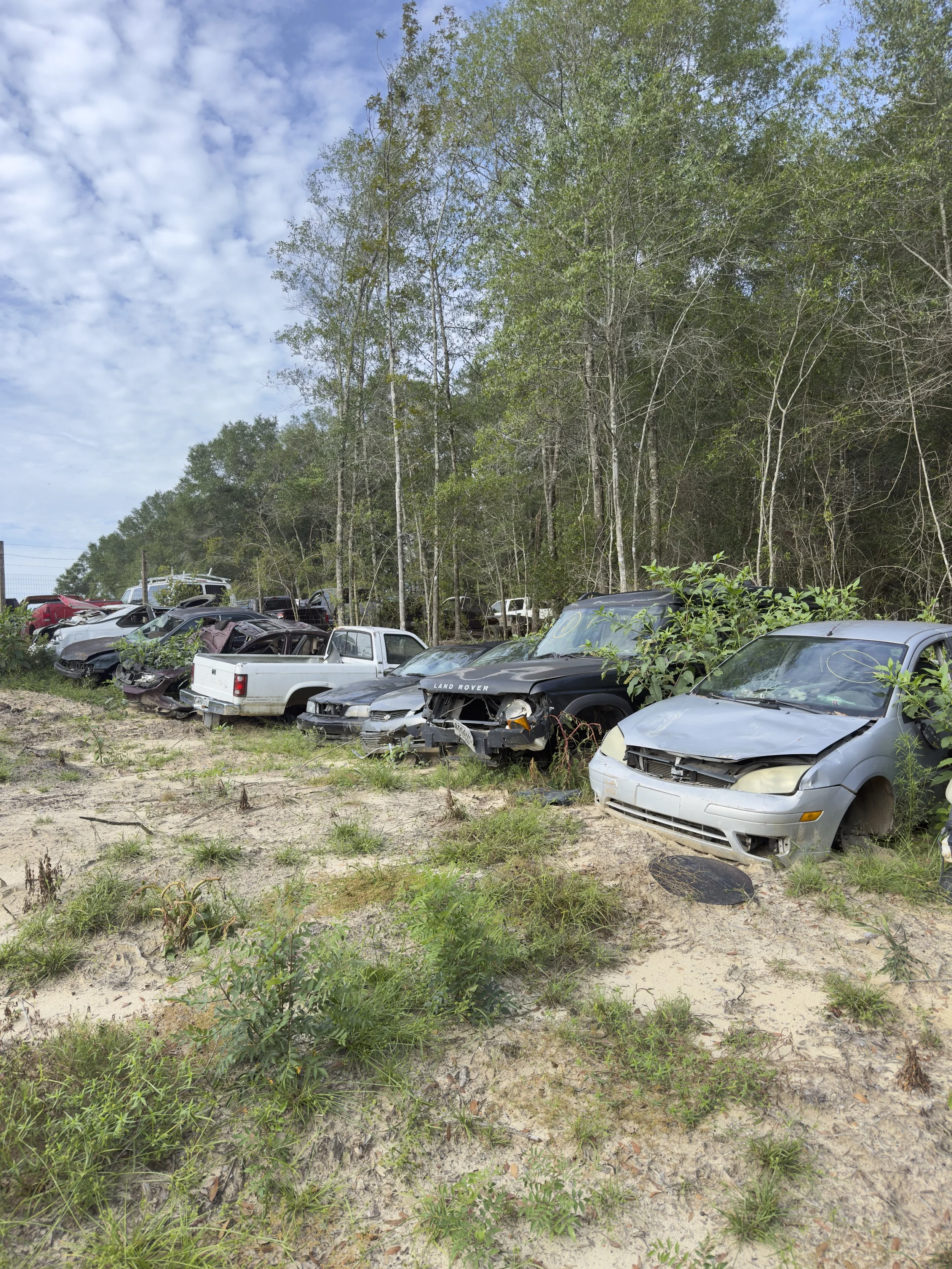 A junkyard with many abandoned and crashed cars overgrown with grass and surrounded by trees under a partly cloudy sky.