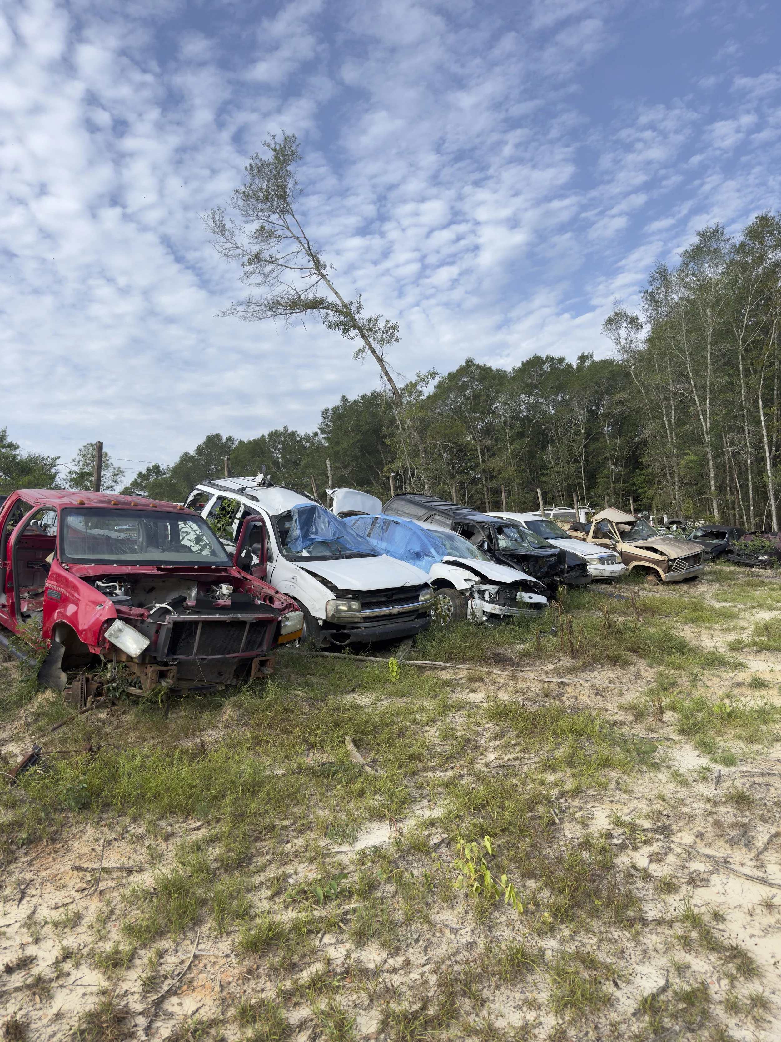 A junkyard with several wrecked and abandoned vehicles, some covered with a blue tarp, situated on grassy ground with trees, a tall leaning tree, and a partly cloudy sky in the background.