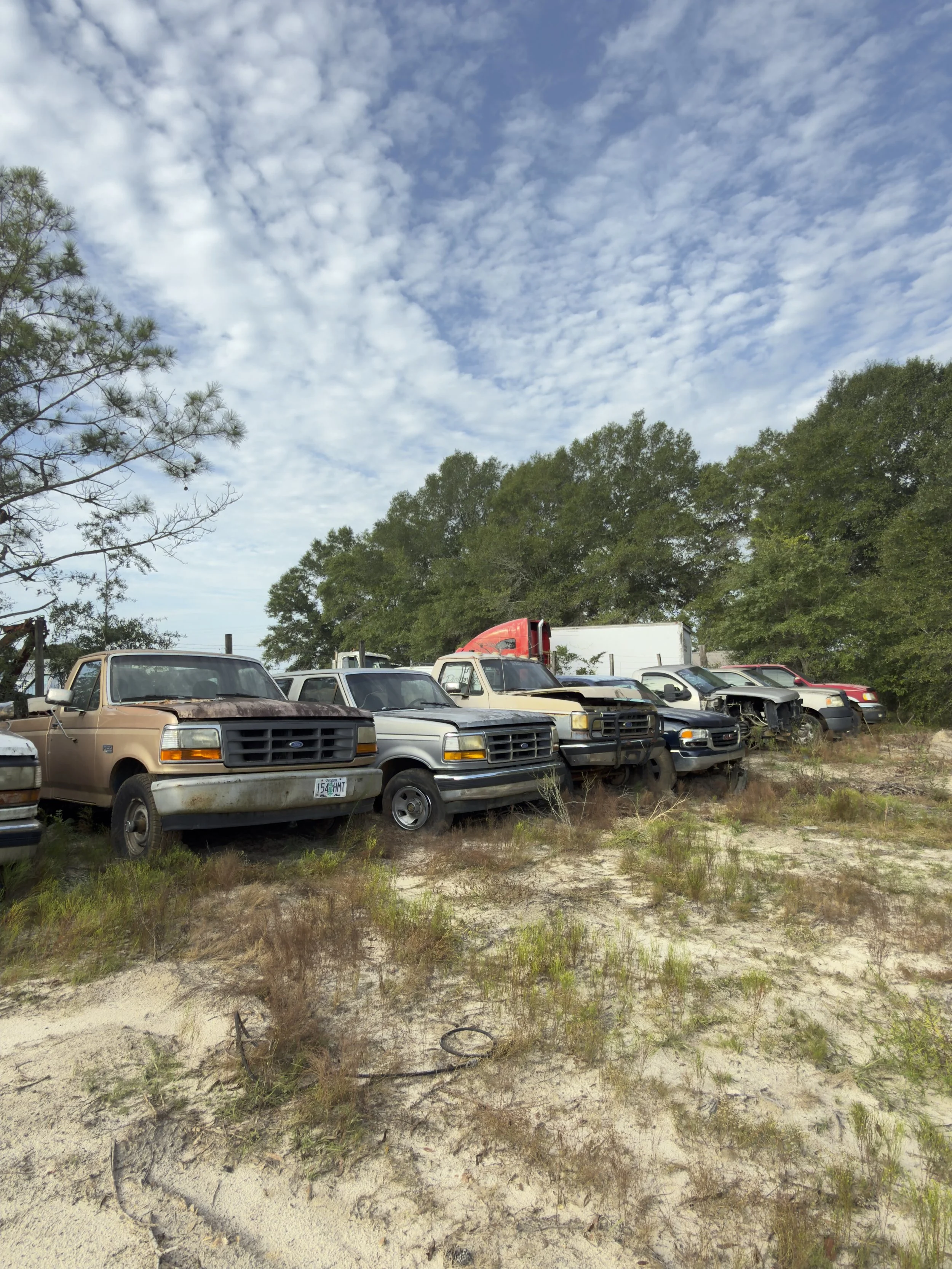Line of abandoned and rusty vehicles on a grassy patch with trees and a partly cloudy sky in the background.