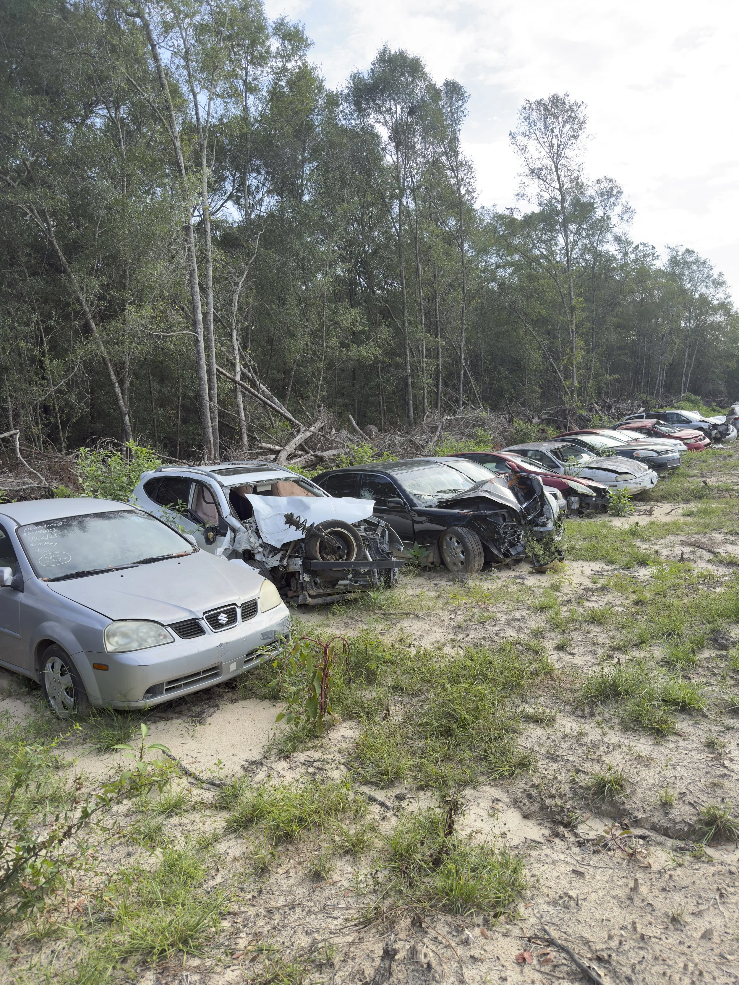 A row of damaged and wrecked cars parked on a dirt area next to a forested area with trees, some fallen or leaning, and a bright sky with scattered clouds.