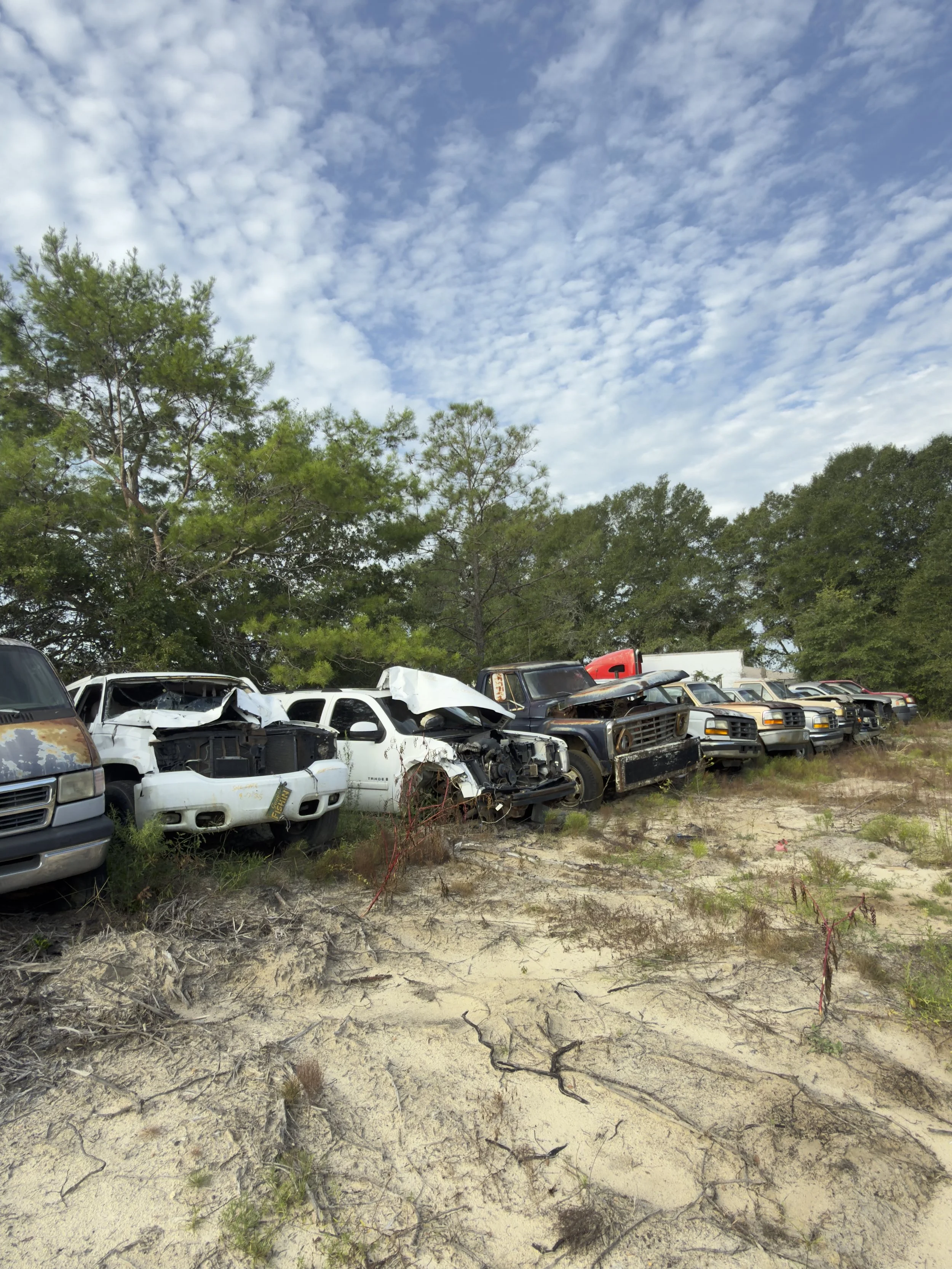 A row of abandoned and wrecked cars on dry, cracked ground beneath a partly cloudy sky with green trees in the background.