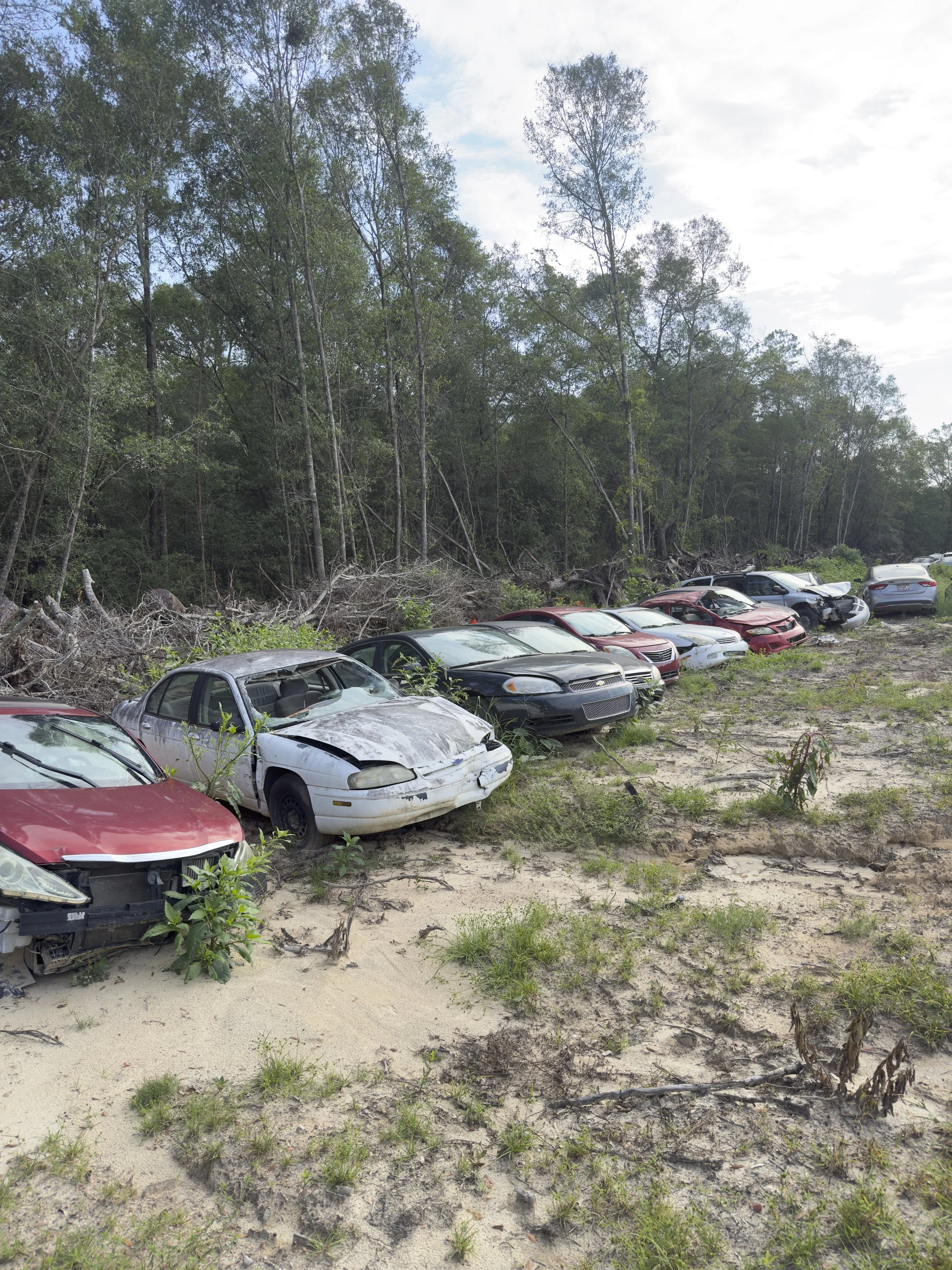 A row of damaged cars parked on a sandy area near a forest with trees and fallen logs.