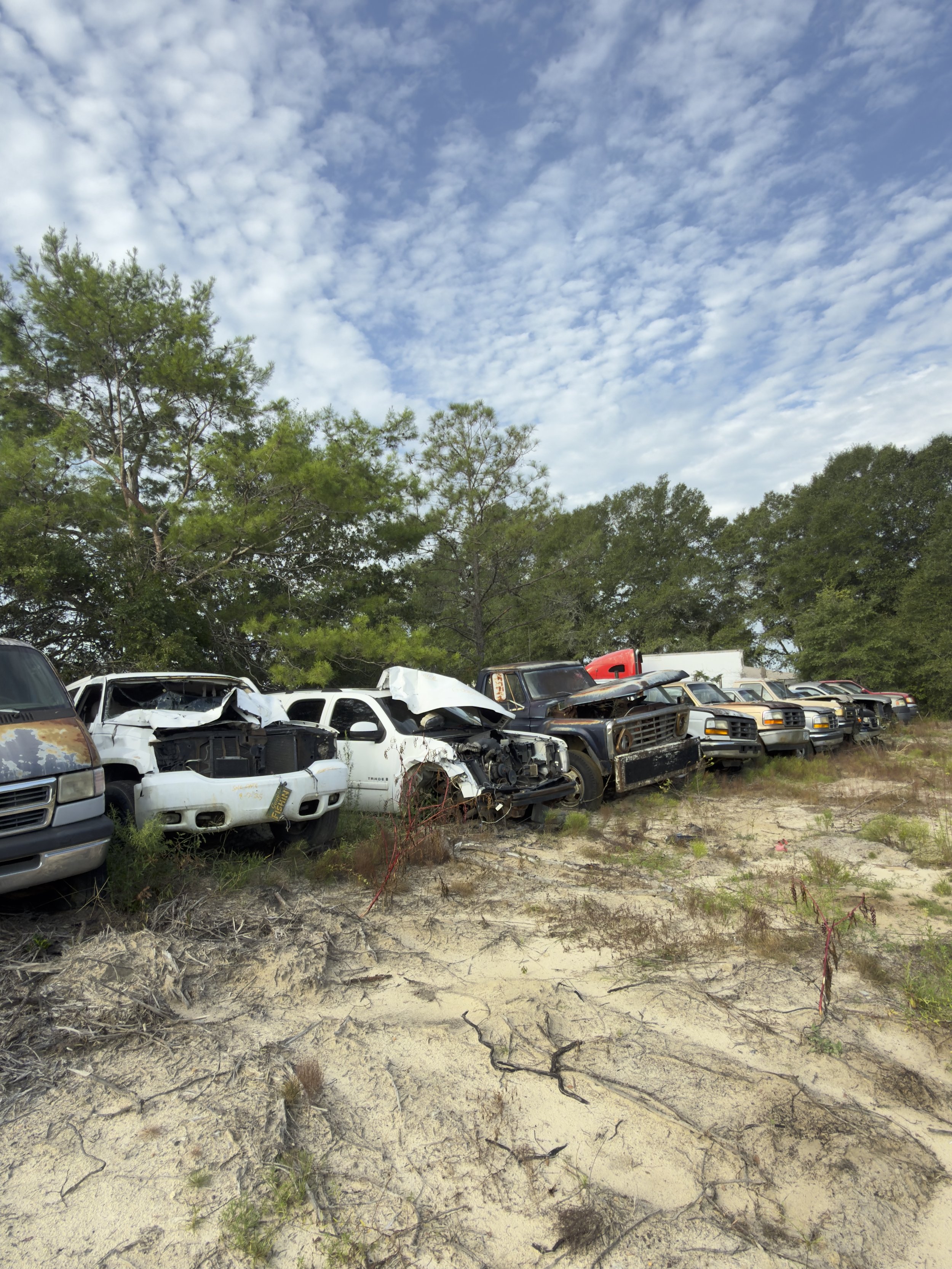 Row of abandoned and damaged cars in a wooded area with a partly cloudy sky.