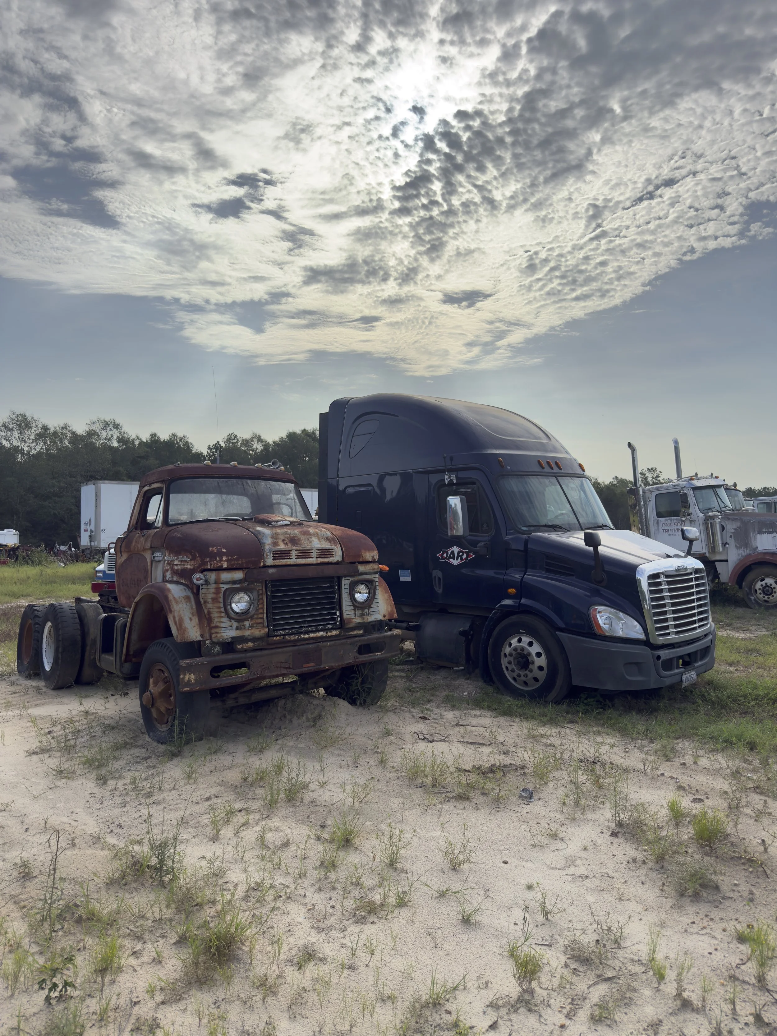 A rusty, old truck and two modern semi-trucks parked on a grassy and sandy area with trees in the background under a cloudy sky.