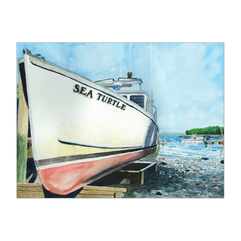 2026 Sea Turtle 9x12 Print.png
