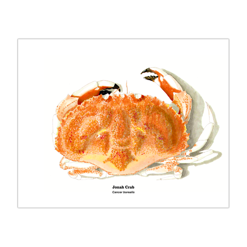 2019 Jonah Crab 8x10 Print.png