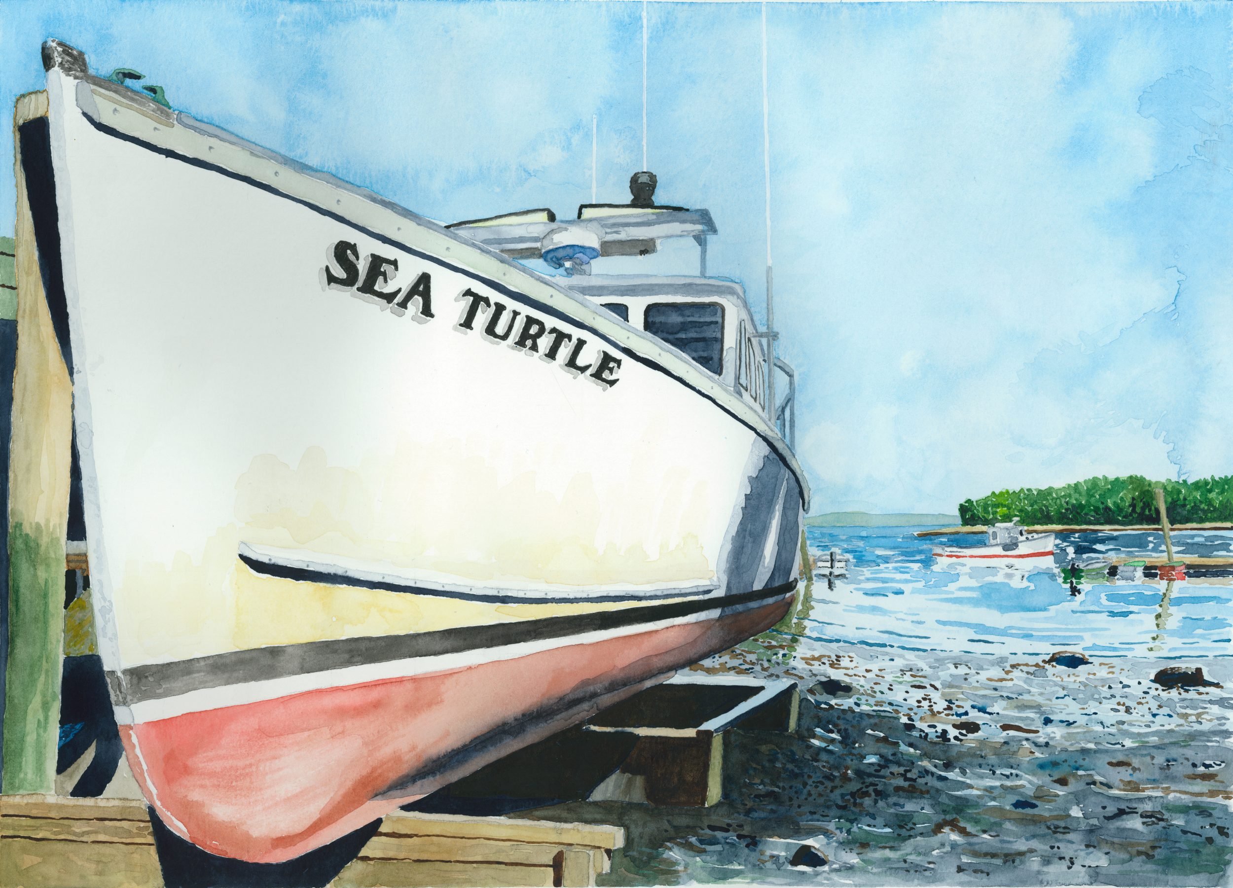2026 Sea Turtle PNG reduced size.png