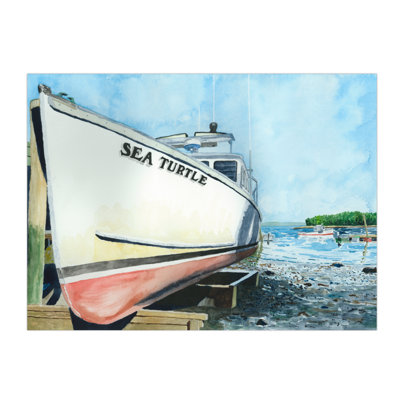 2026 Sea Turtle 11x15 Print.png
