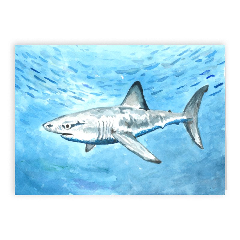 2023 Porbeagle Shark 5x7 Card.png