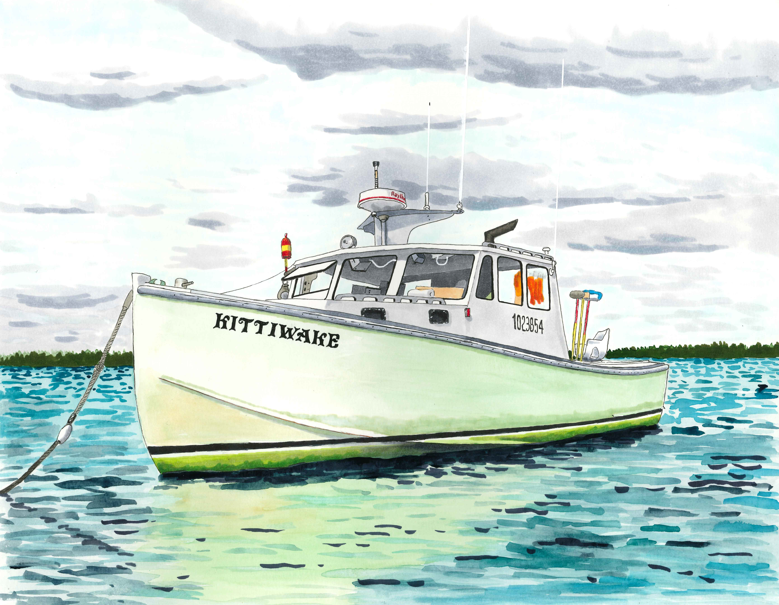 Kittiwake