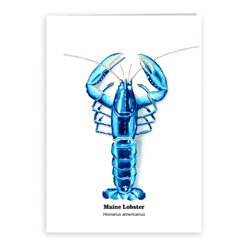 2019 Blue Lobster 5x7 Card.png