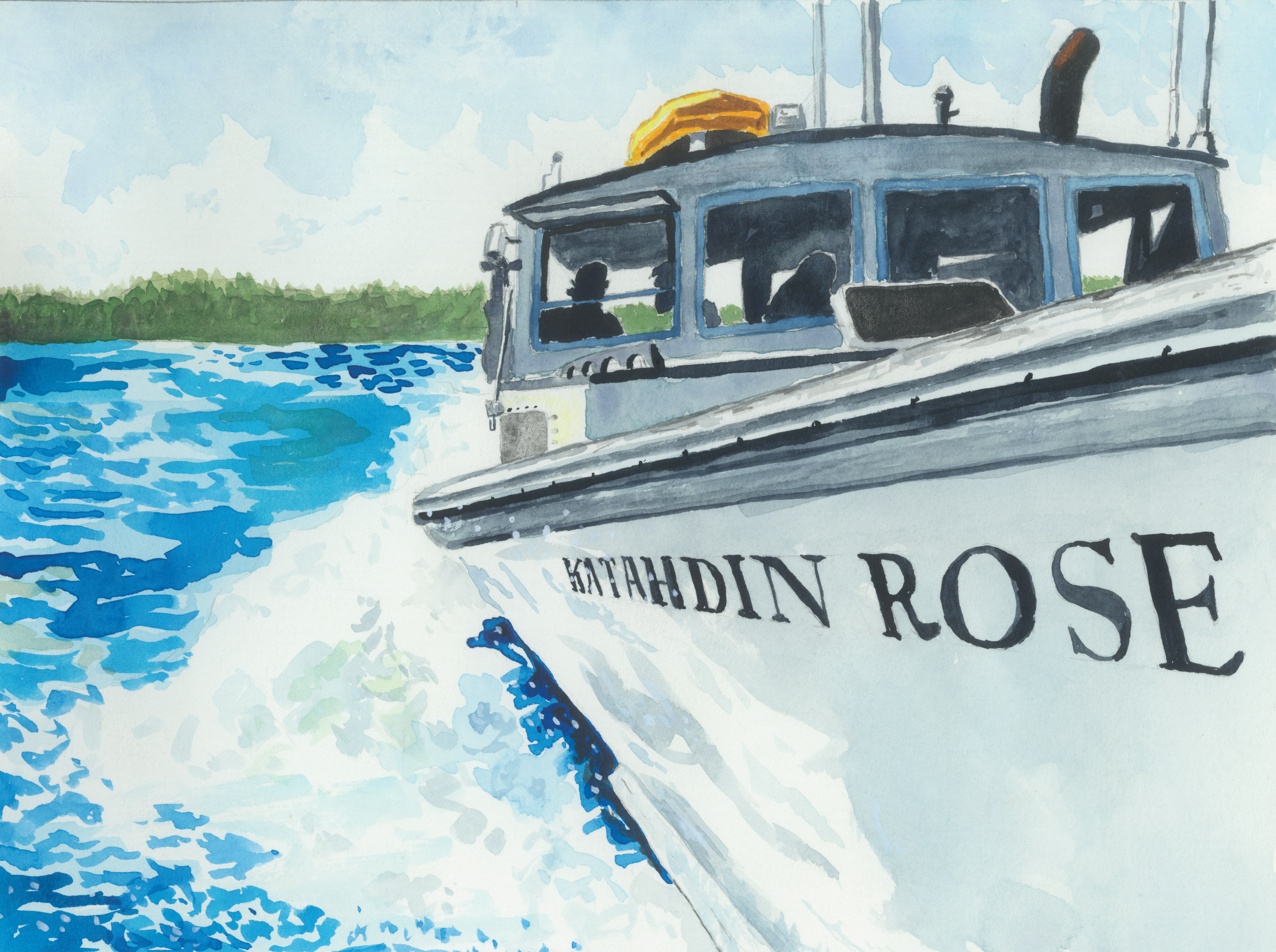 Katahdin Rose
