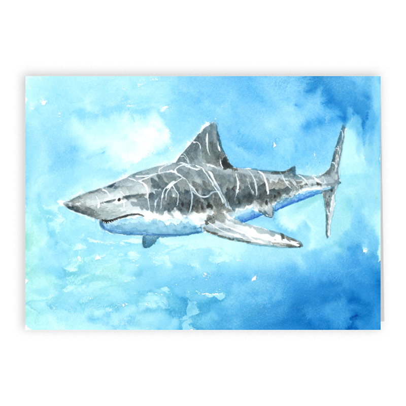 2023 Great White Shark 5x7 Card.png
