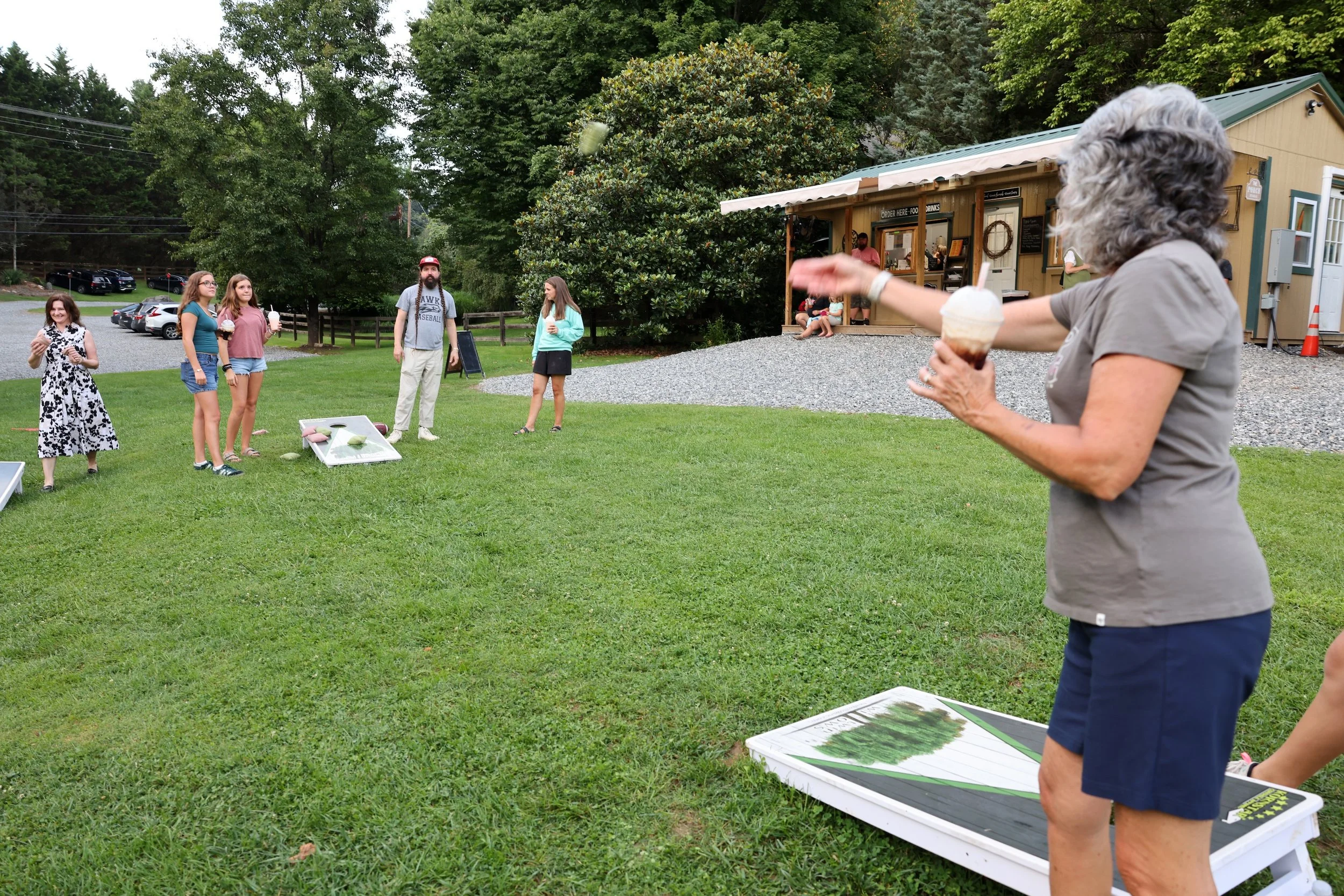 Guests playing lawn games at Twin Willows in Mars Hill.