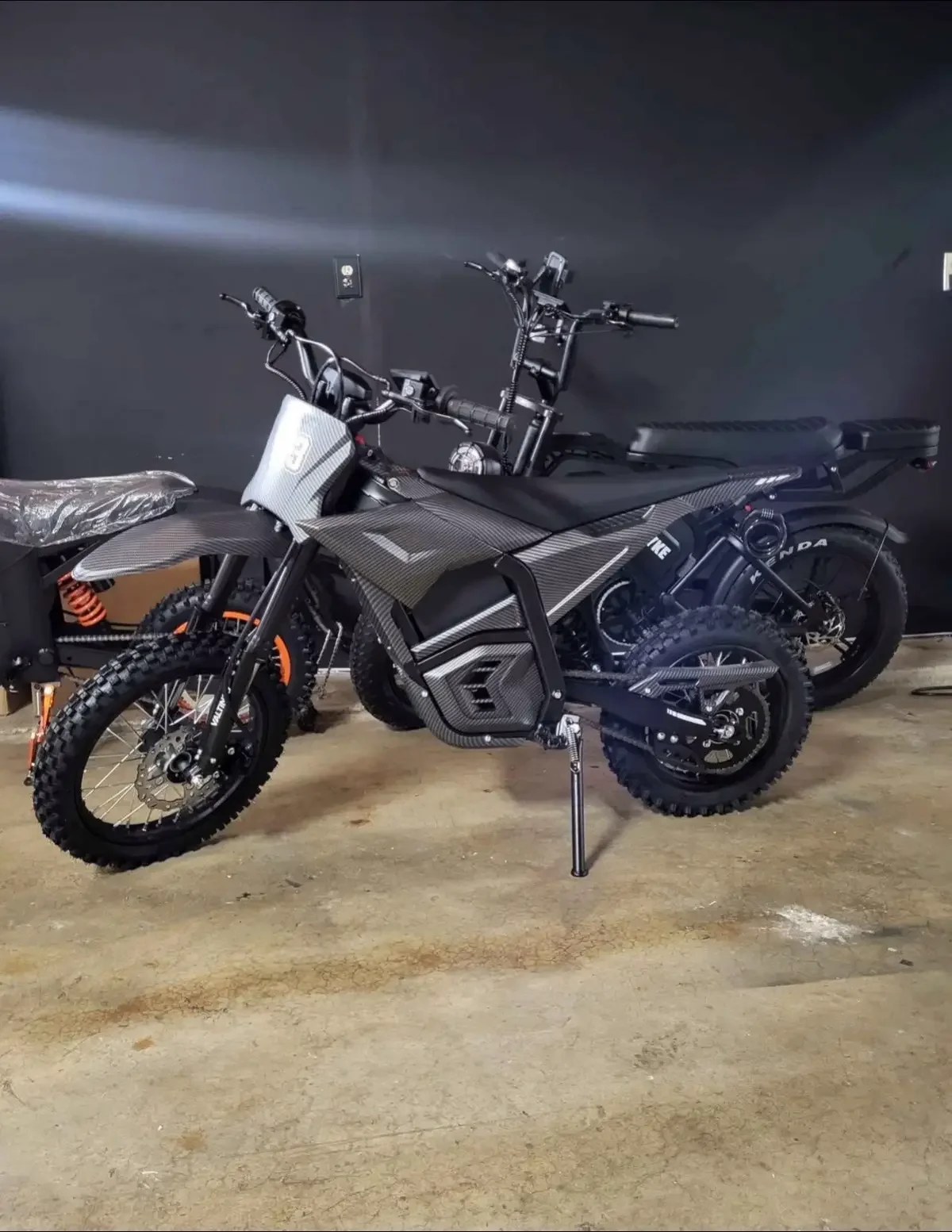 Performance E-Bike