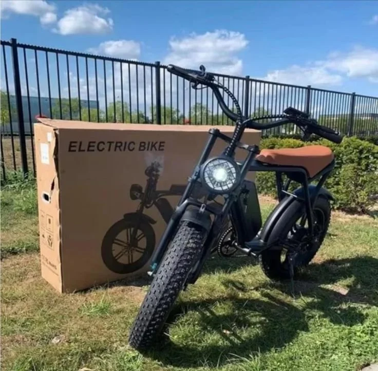 Fat-tire E-Bike