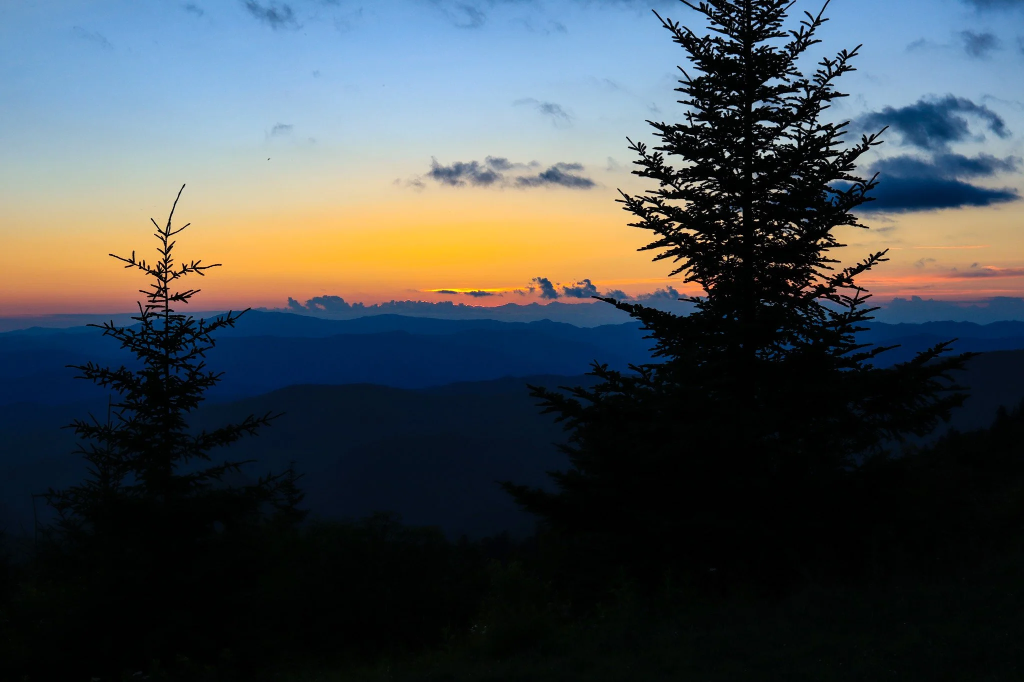 IMG_1071.jpg