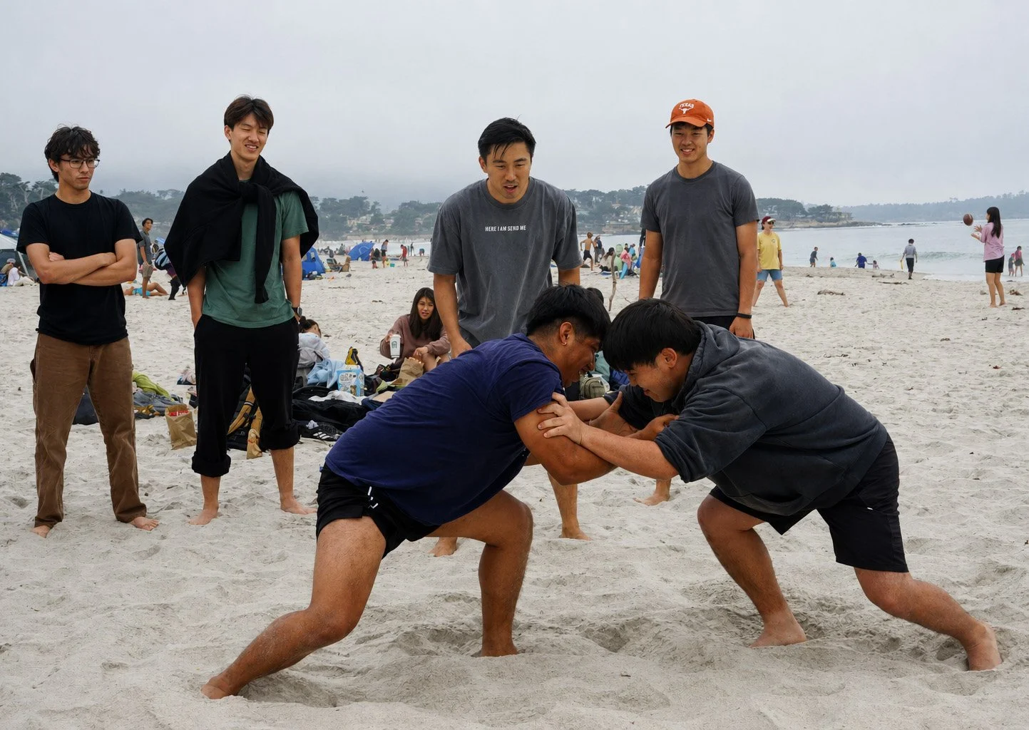 Students-ucdavis-wrestling-beach.jpg