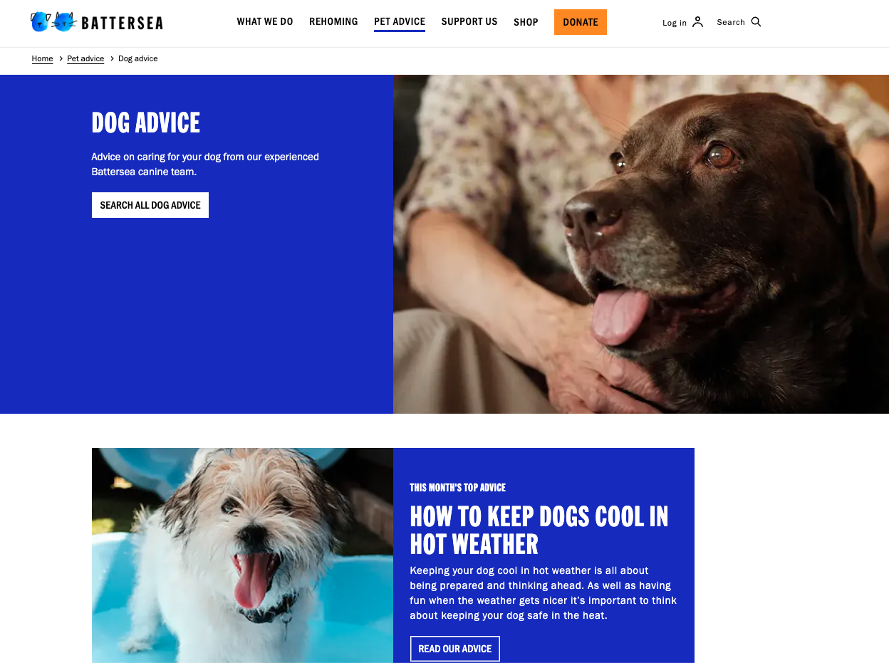 Screenshot of Battersea's dog advice page. A blue banner reads 'dog advice' next to an image of a chocolate labrador. Below, a picture of a small white dog
