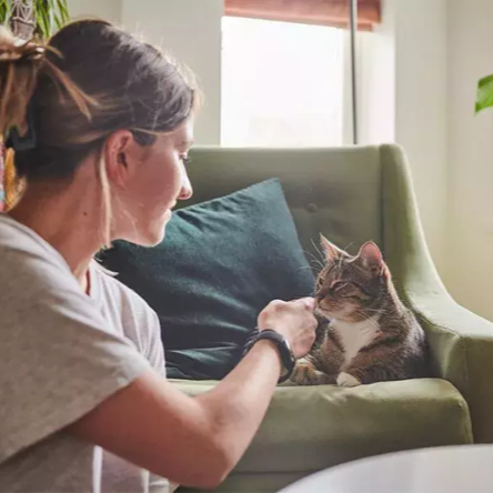 Fostering Recruitment