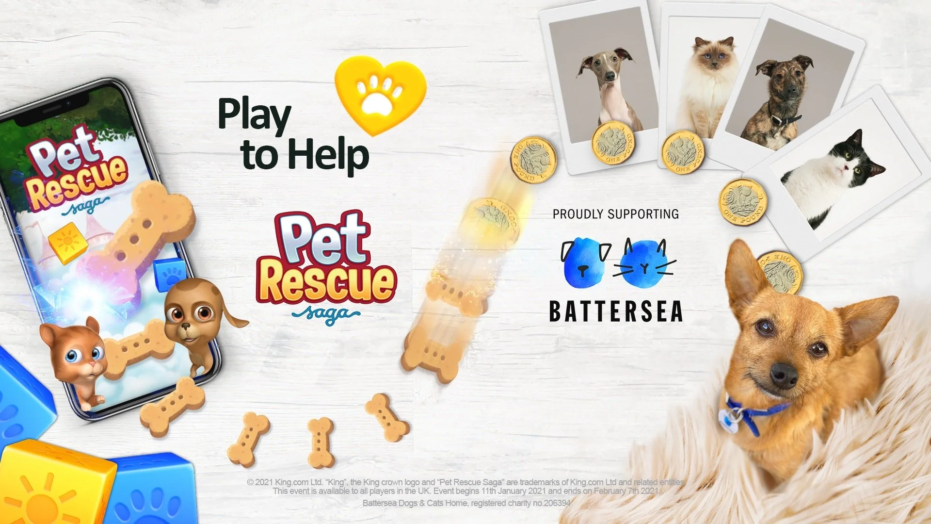 Pet Rescue Saga partnership