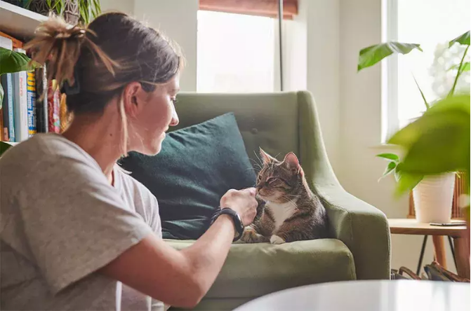 A woman sits beside a green armchair, gently stroking a tabby and white cat curled up on the cushion, in a living room with bookshelves and houseplants