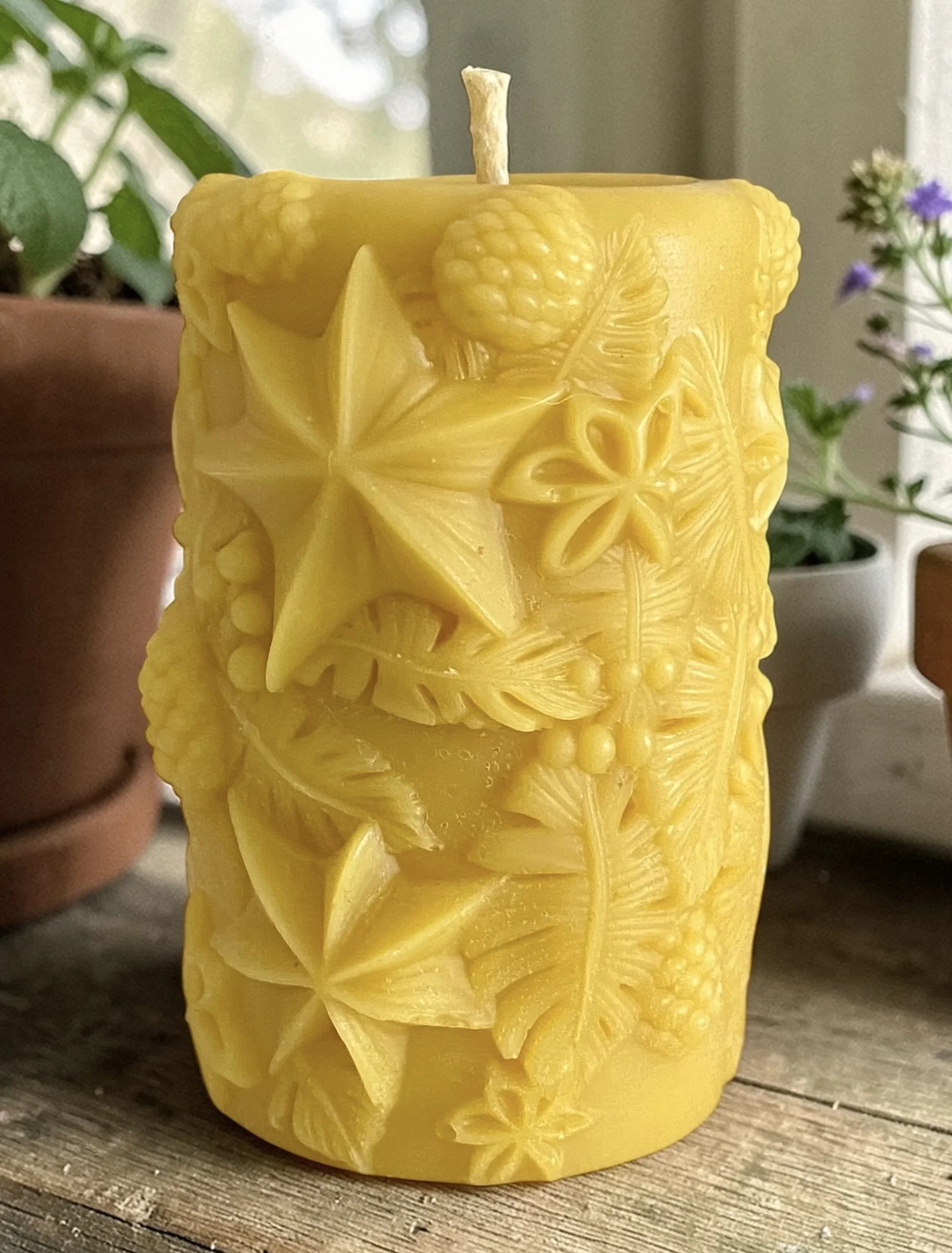 pure-beeswax-bontanical-woodland-candle (web).jpeg
