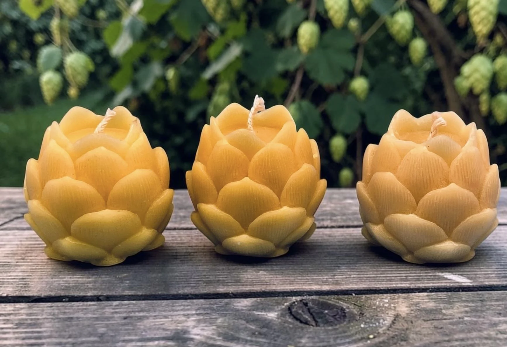 Hop Beeswax Candle — Handmade Pure Beeswax, Countryside & Harvest Décor