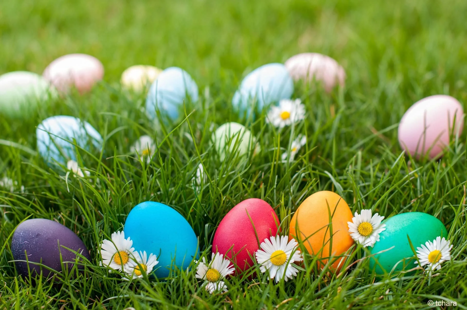EASTER EGG HUNT - Raleigh, April 12