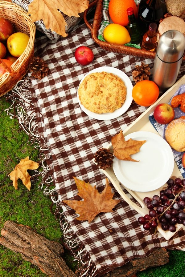 Canceled - Fall Picnic, October 12th, 3pm
