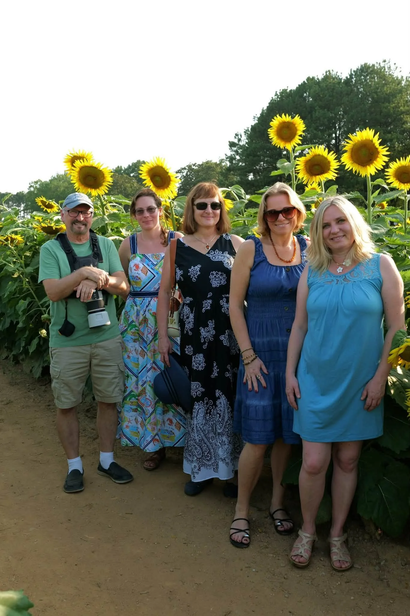 Sunflowers at Dix Park