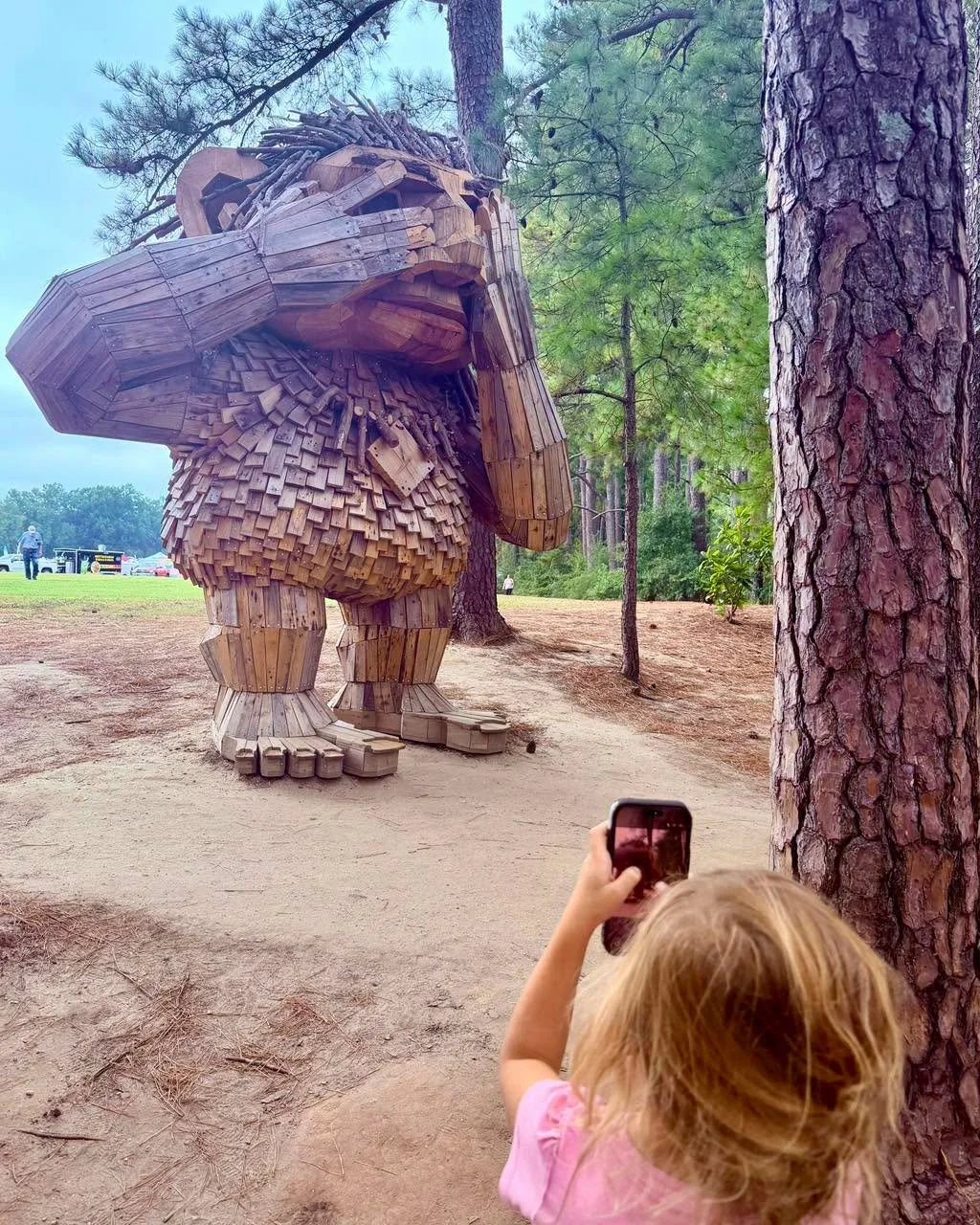5.jpeg