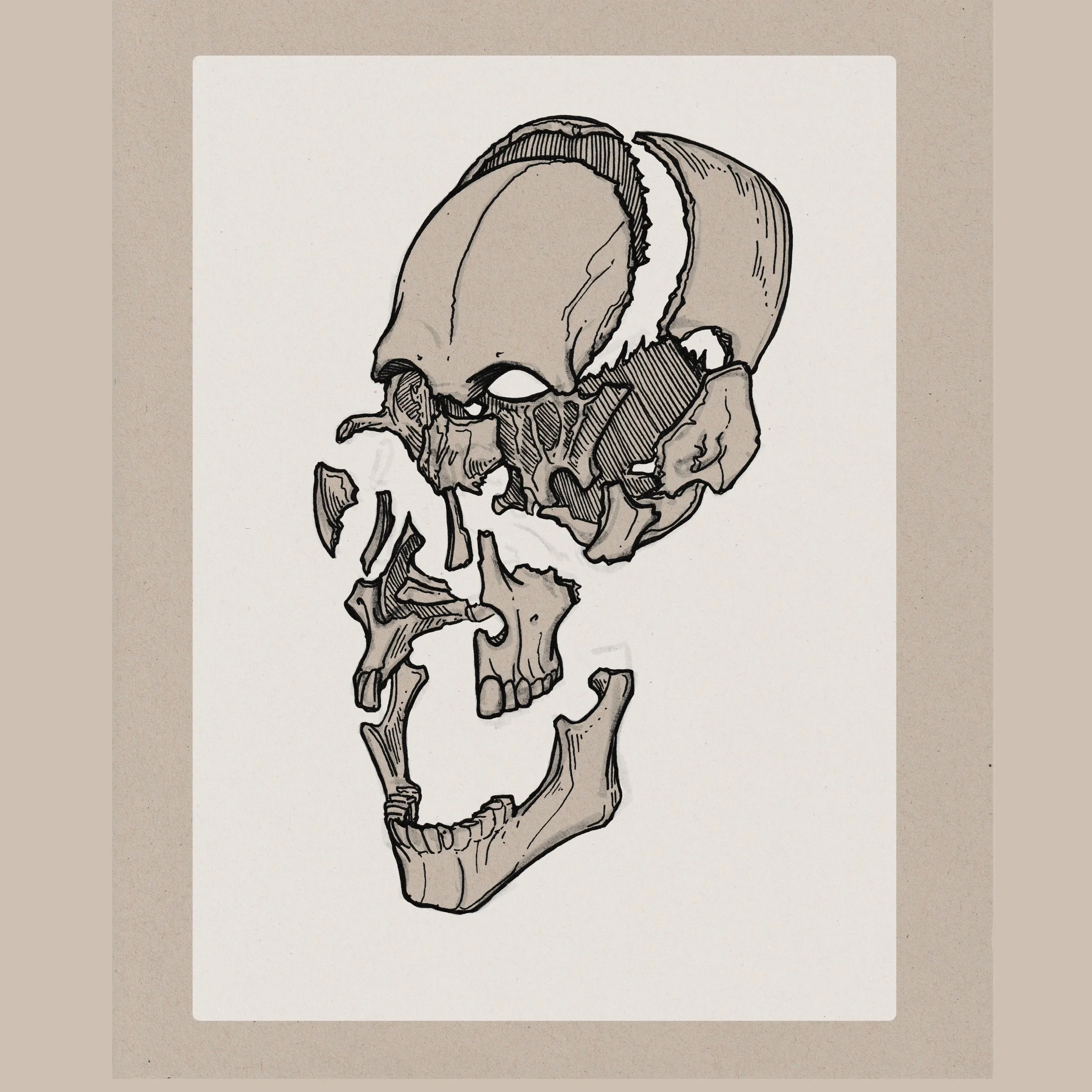 Skull 3.1.jpg