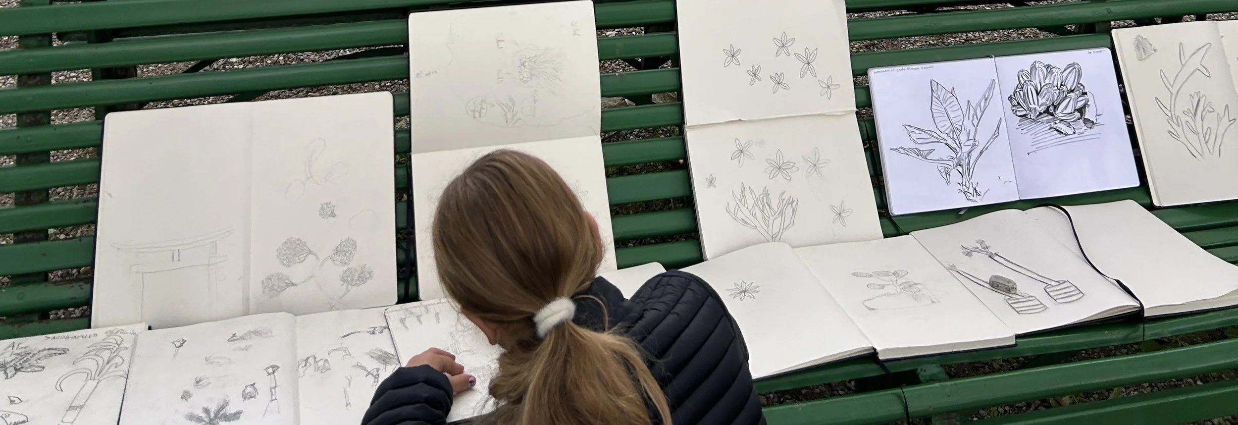 A person with long hair in a ponytail and wearing a dark jacket appears to be sketching or drawing on a large sketchbook laid open on a green bench, with several other sketches and drawings of flowers, plants, and nature scenes spread out on the bench around them.