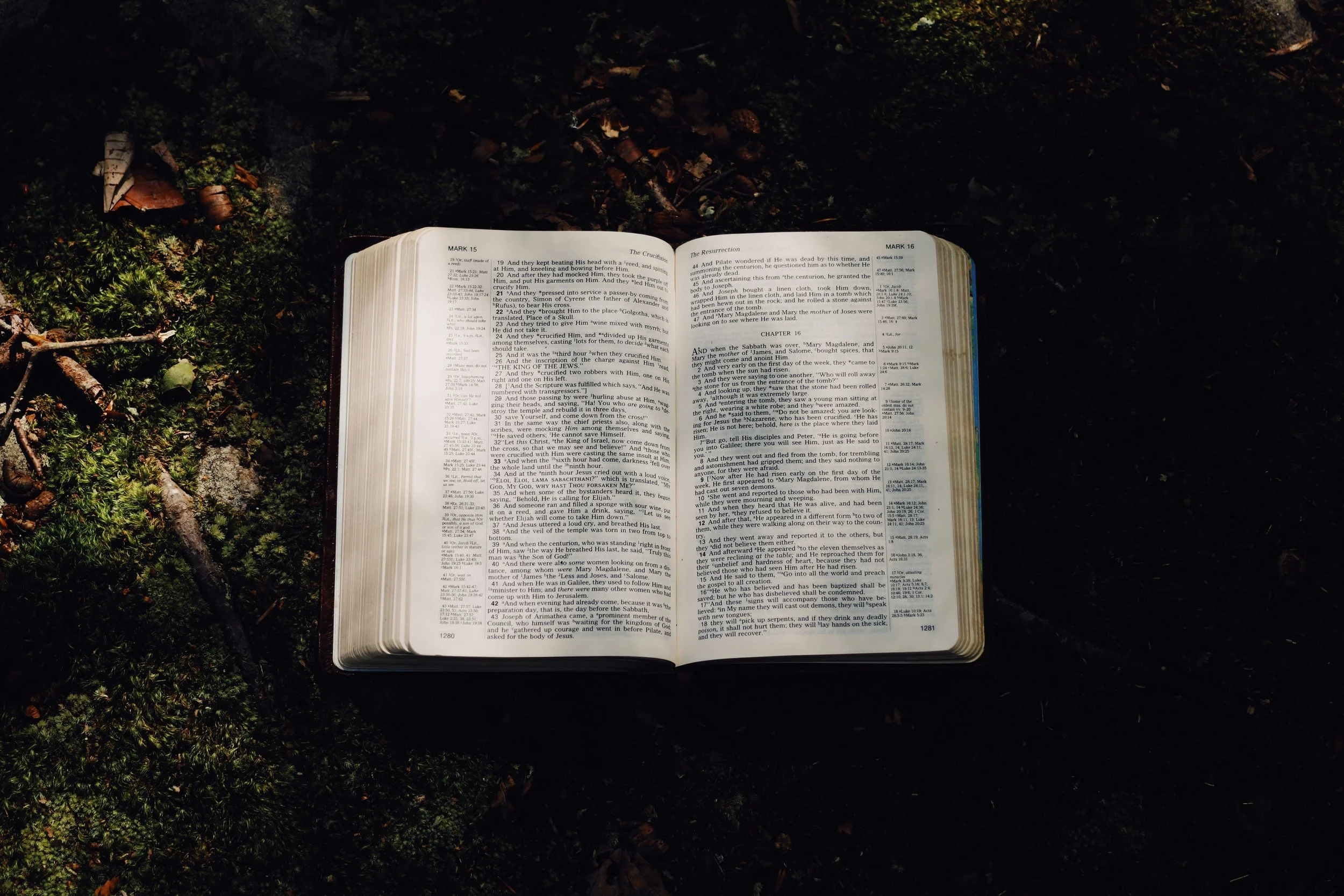 The Bible Is Worth Your Sweat