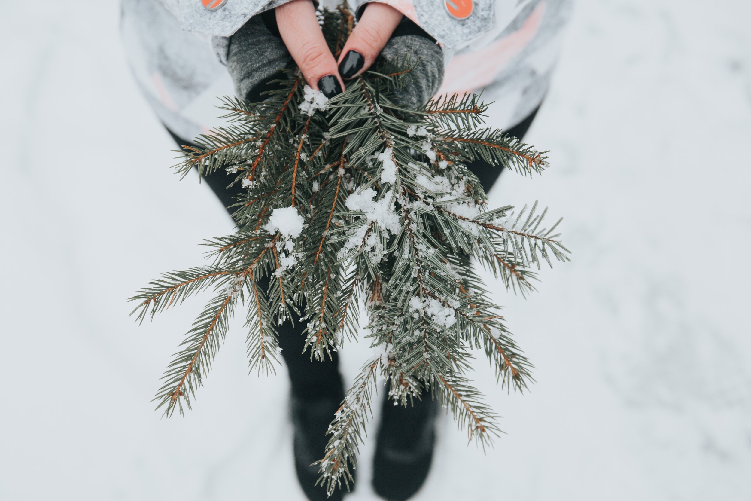 Peace This Morning: The Peace of Christ in an Imperfect Christmas