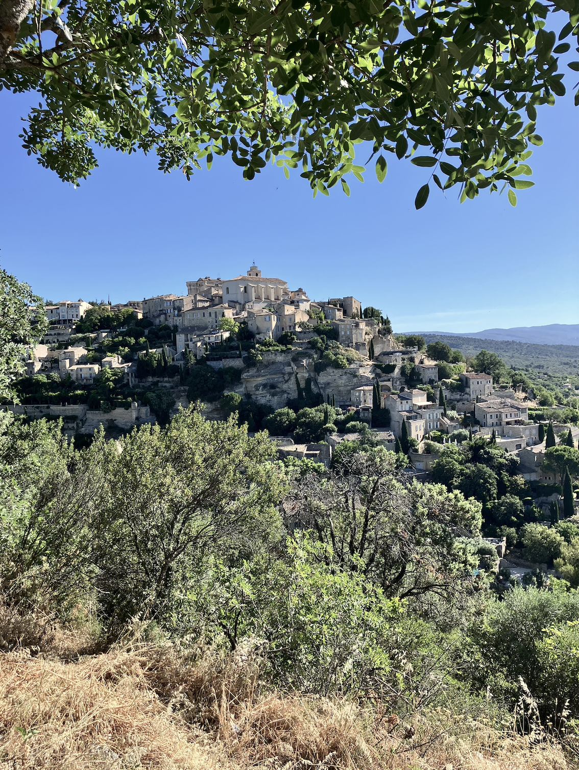 A scenic hillside town with stone buildings and lush greenery, under a clear blue sky, framed by tree branches.