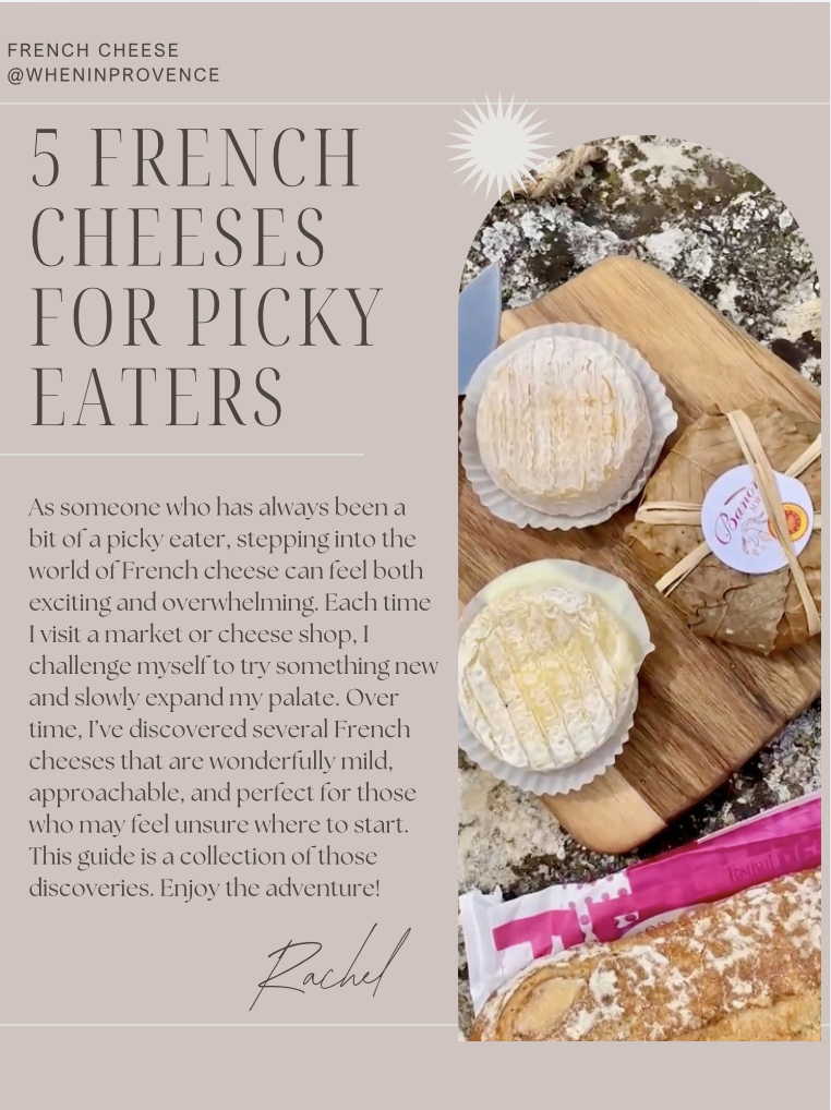 A cheese board with two rounds of soft French cheese on a wooden cutting board, wrapped bread, and a baguette, over a natural outdoor background.
