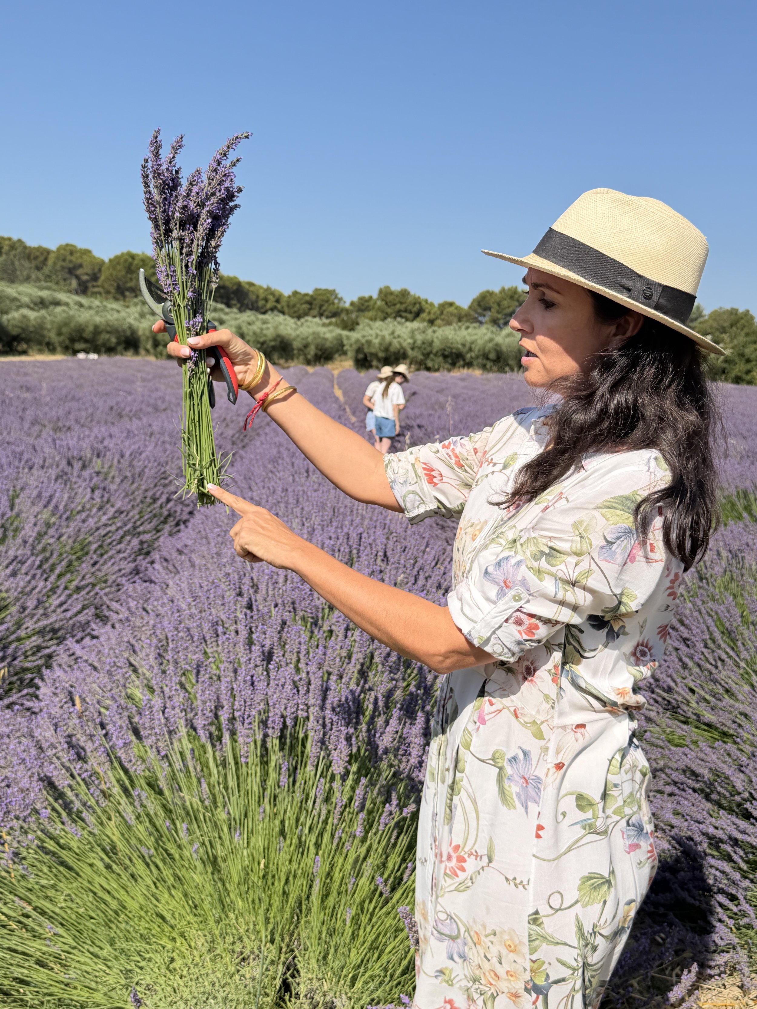 A woman in a floral dress and wide-brimmed hat holds a bundle of lavender flowers in a lavender field on a sunny day, with two other women in the background exploring the field.
