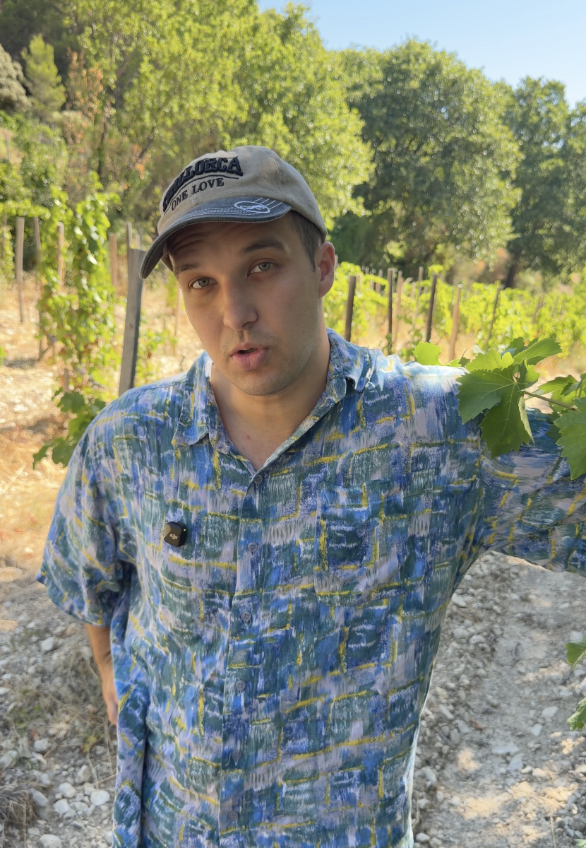 A young man in a colorful, patterned shirt and a gray baseball cap standing in a vineyard during daytime, with green grapevines and trees in the background.