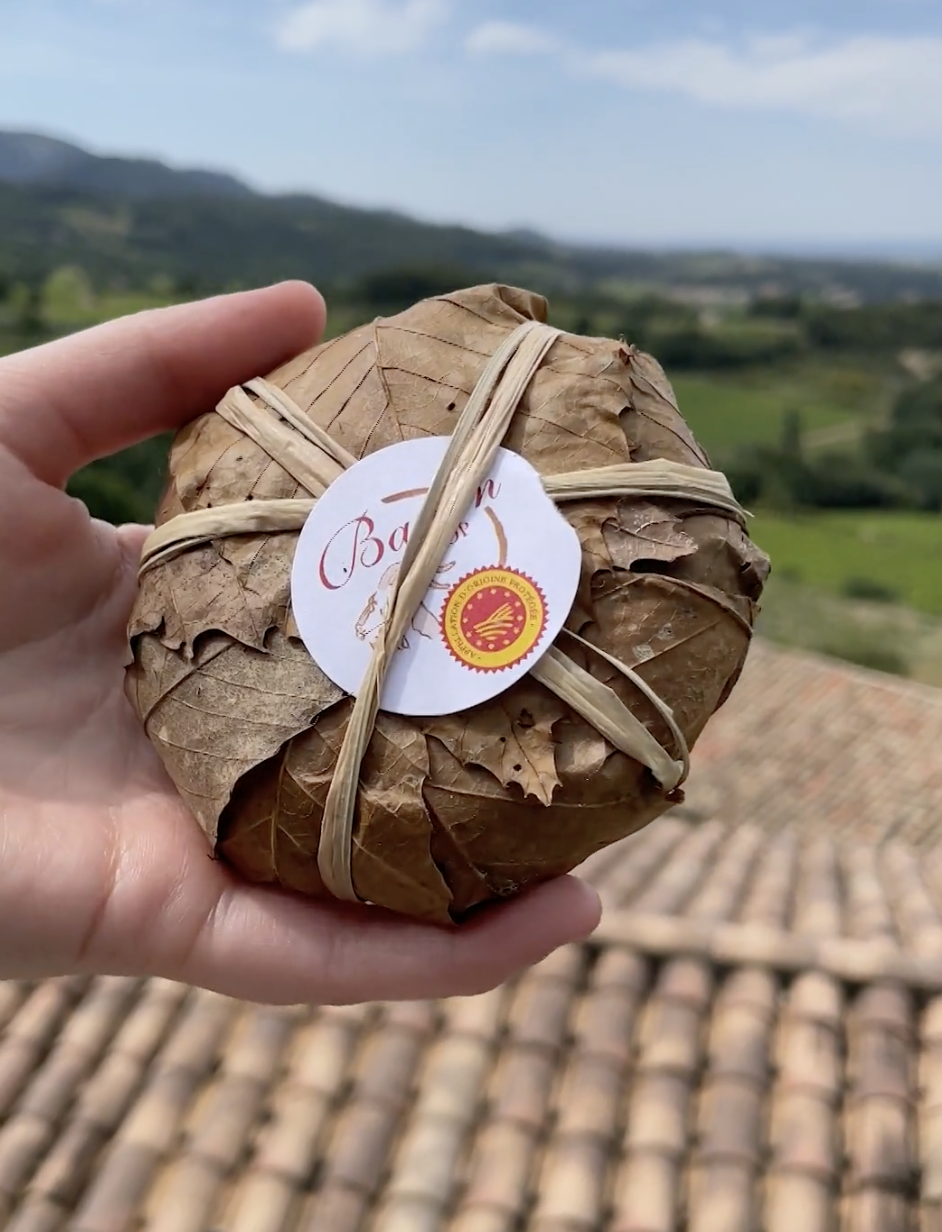 Follow Me to Frenchly and Learn About the Best French Cheeses for Picky Eaters